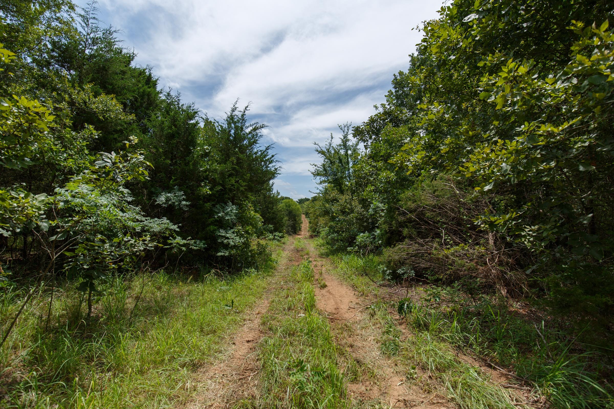 Timber Ridge Tract 14 photo 1