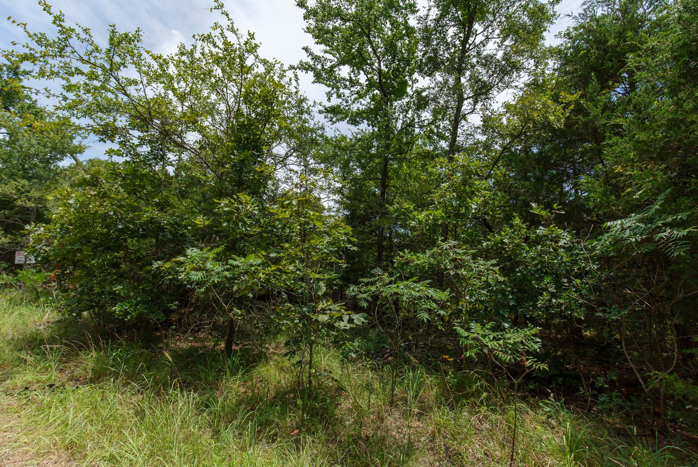 Timber Ridge Tract 14 photo 7