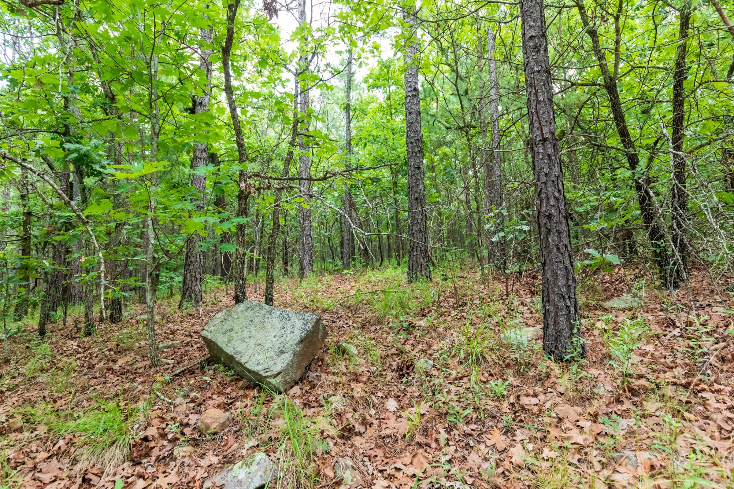 Stone Bridge Phase VI Tract 430 photo 9
