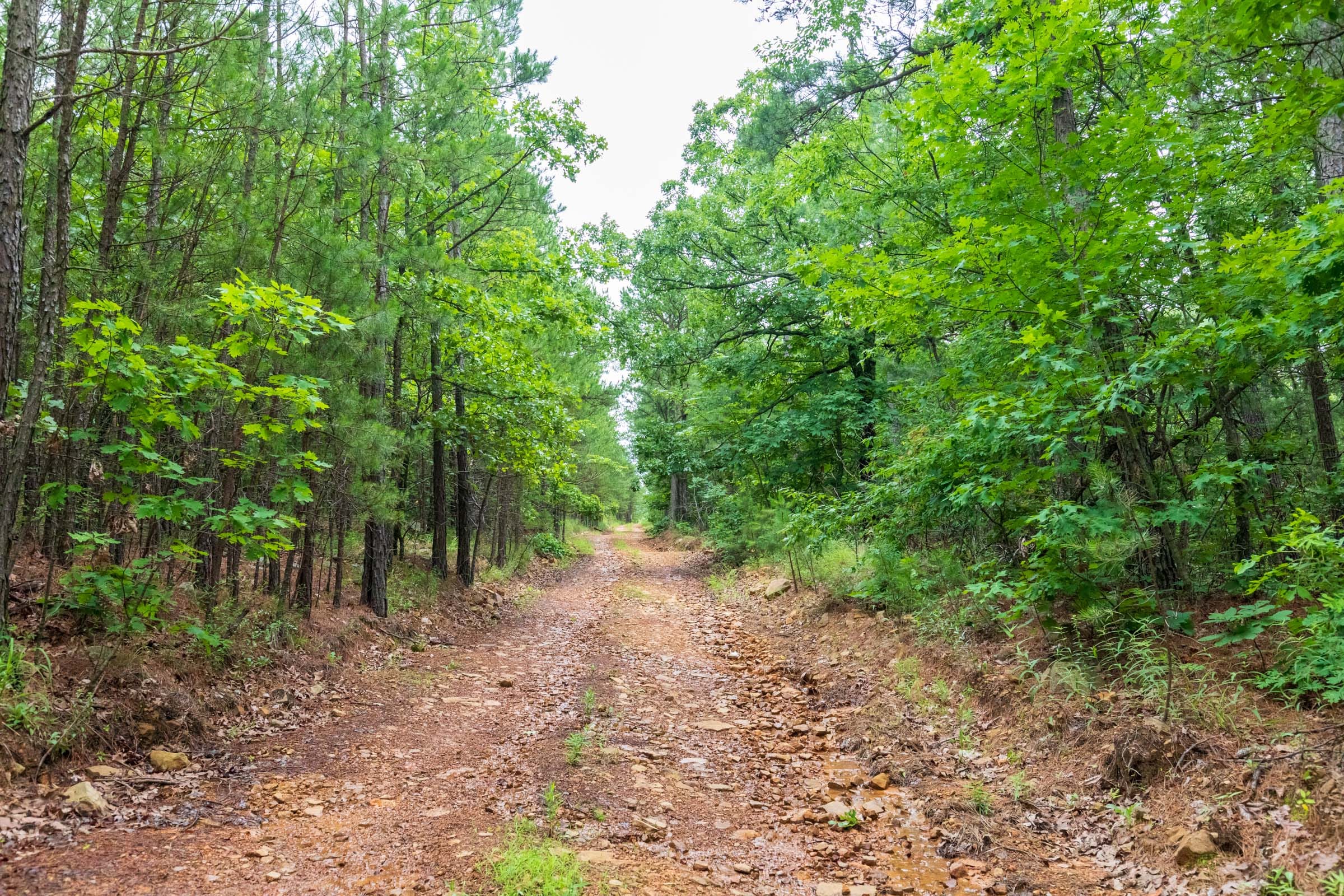 Stone Bridge Phase VI Tract 430 photo 6
