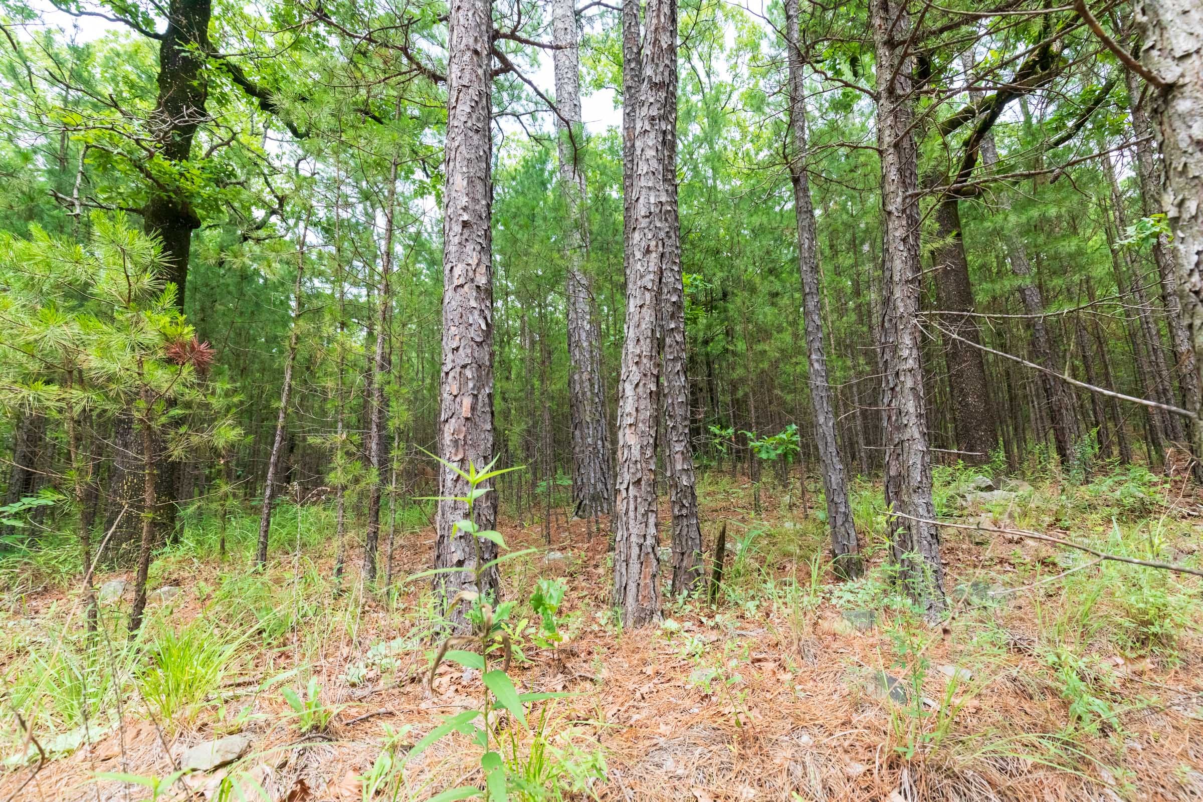 Stone Bridge Phase VI Tract 430 photo 8