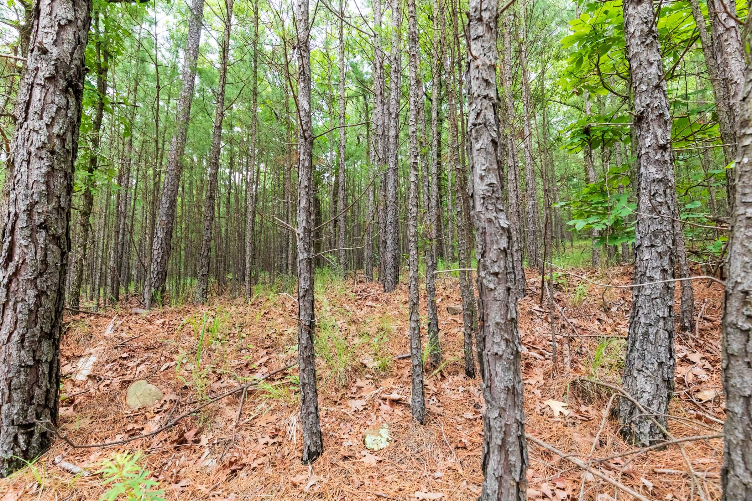 Stone Bridge Phase VI Tract 430 photo 10