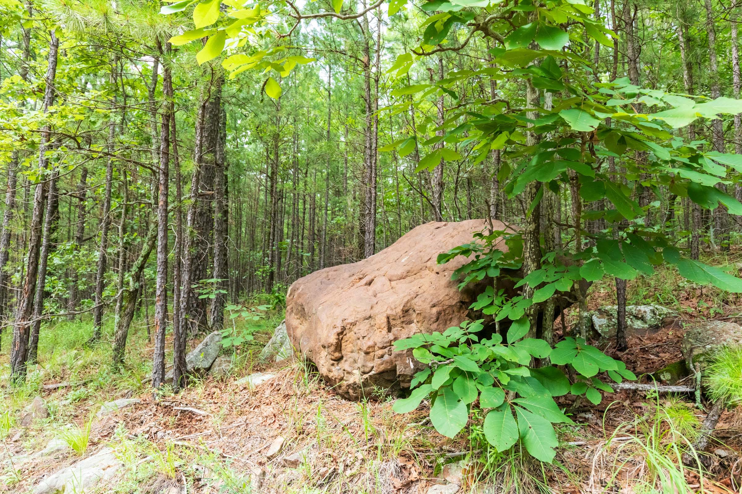 Stone Bridge Phase VI Tract 430 photo 7