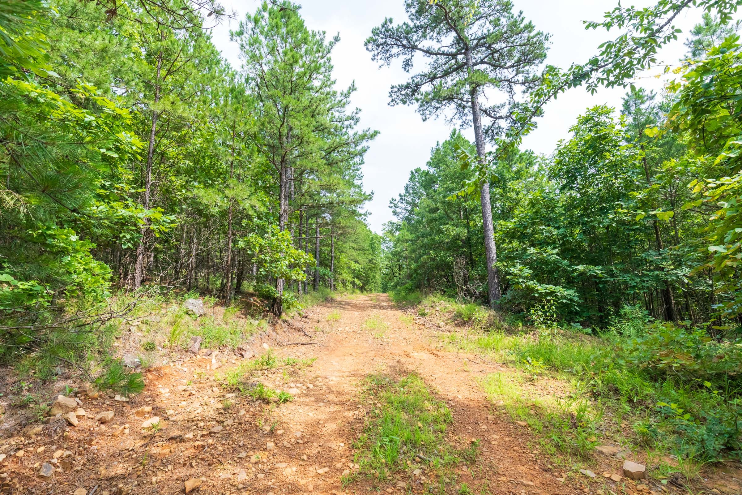 Stone Bridge Phase VI Tract 430 photo 18