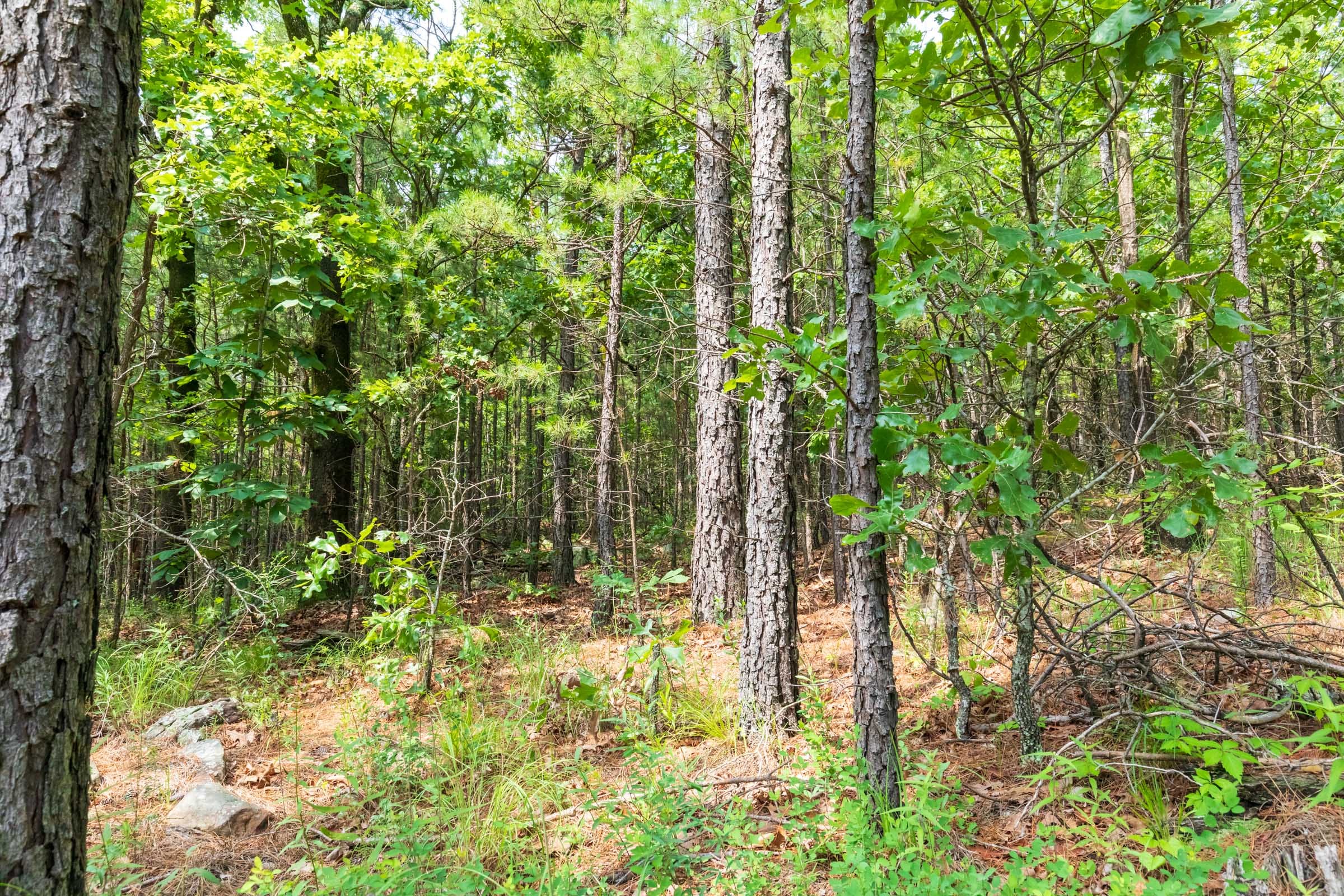Stone Bridge Phase VI Tract 430 photo 12