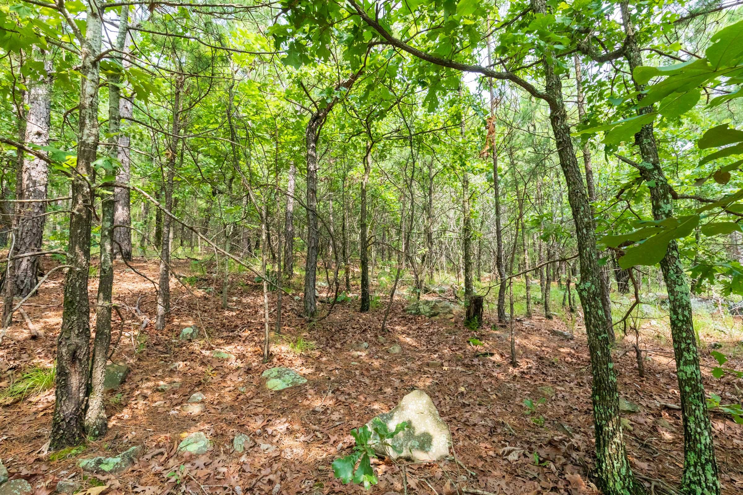 Stone Bridge Phase VI Tract 430 photo 13