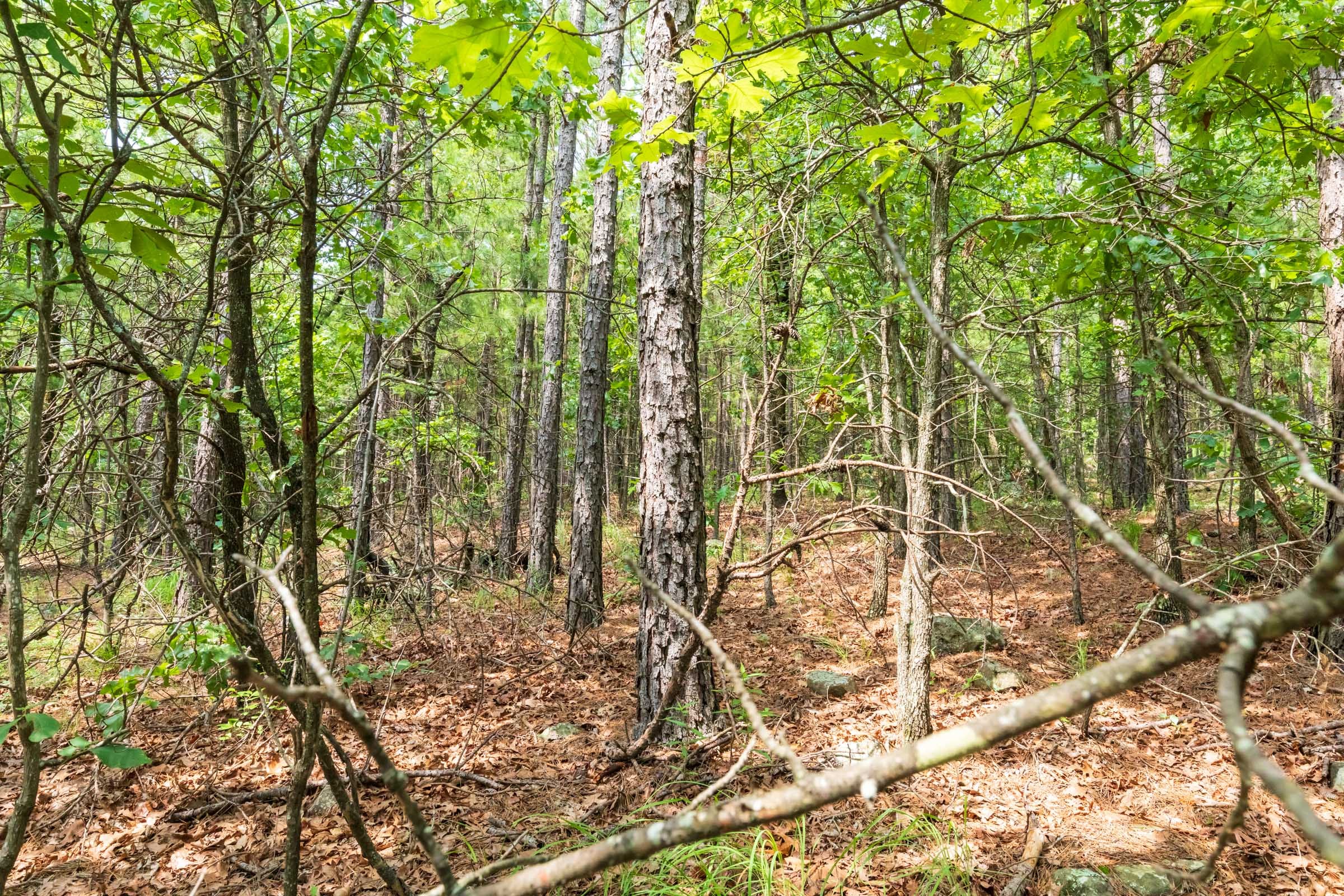 Stone Bridge Phase VI Tract 430 photo 15
