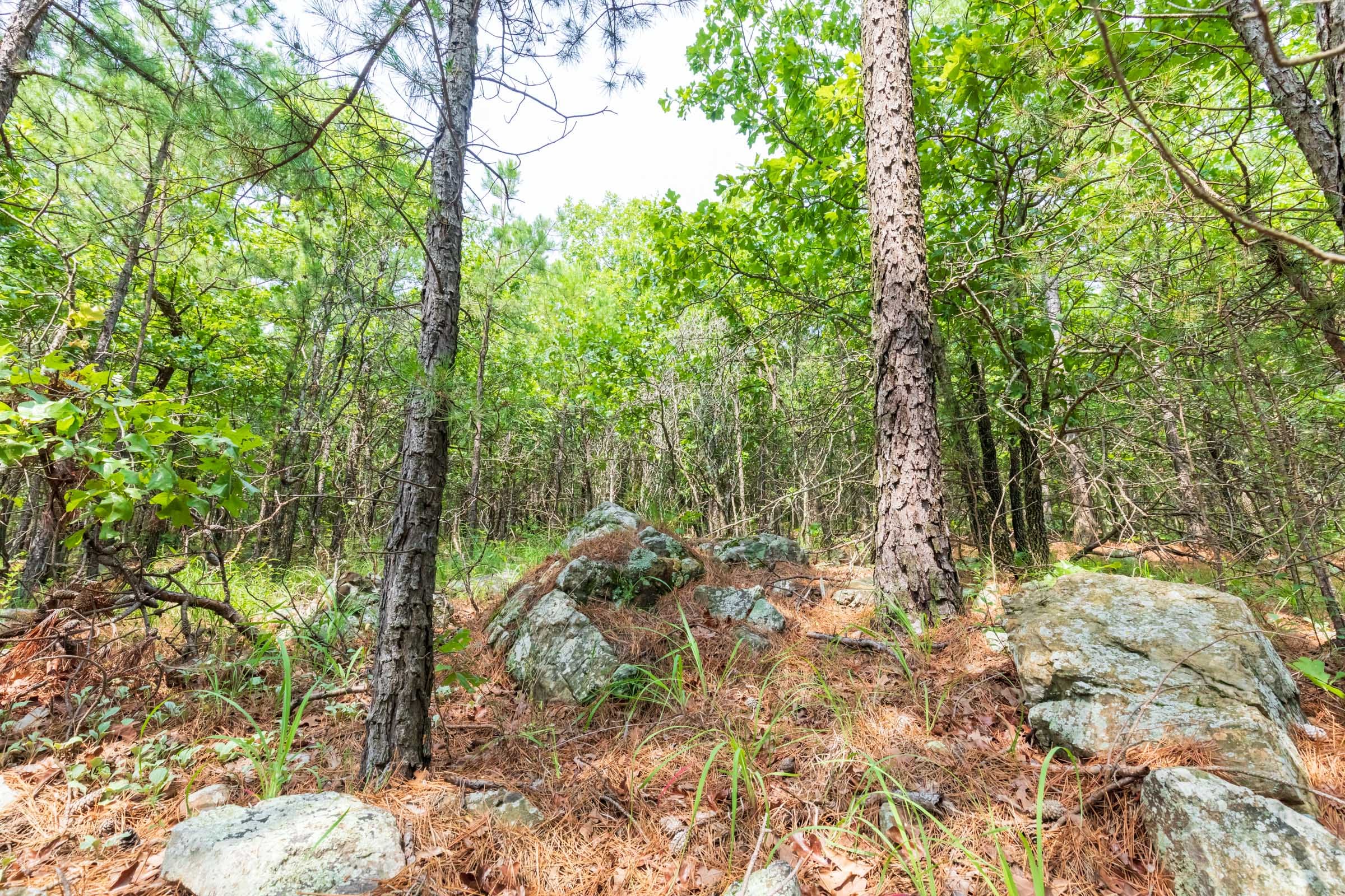 Stone Bridge Phase VI Tract 430 photo 17