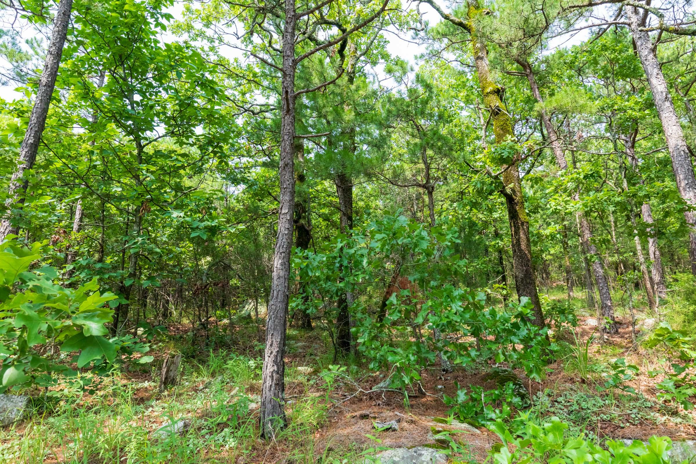 Stone Bridge Phase VI Tract 430 photo 14