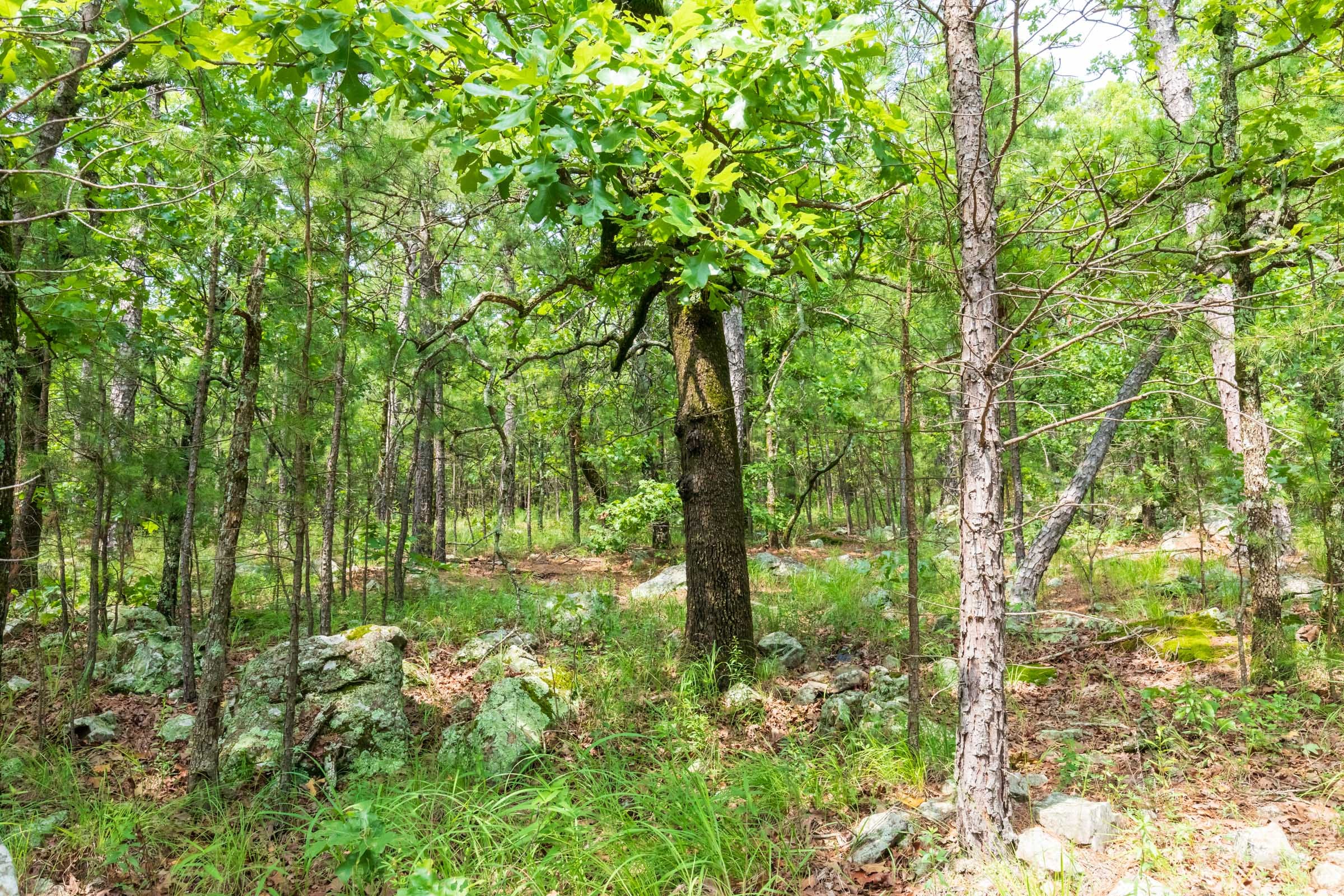 Stone Bridge Phase VI Tract 430 photo 20