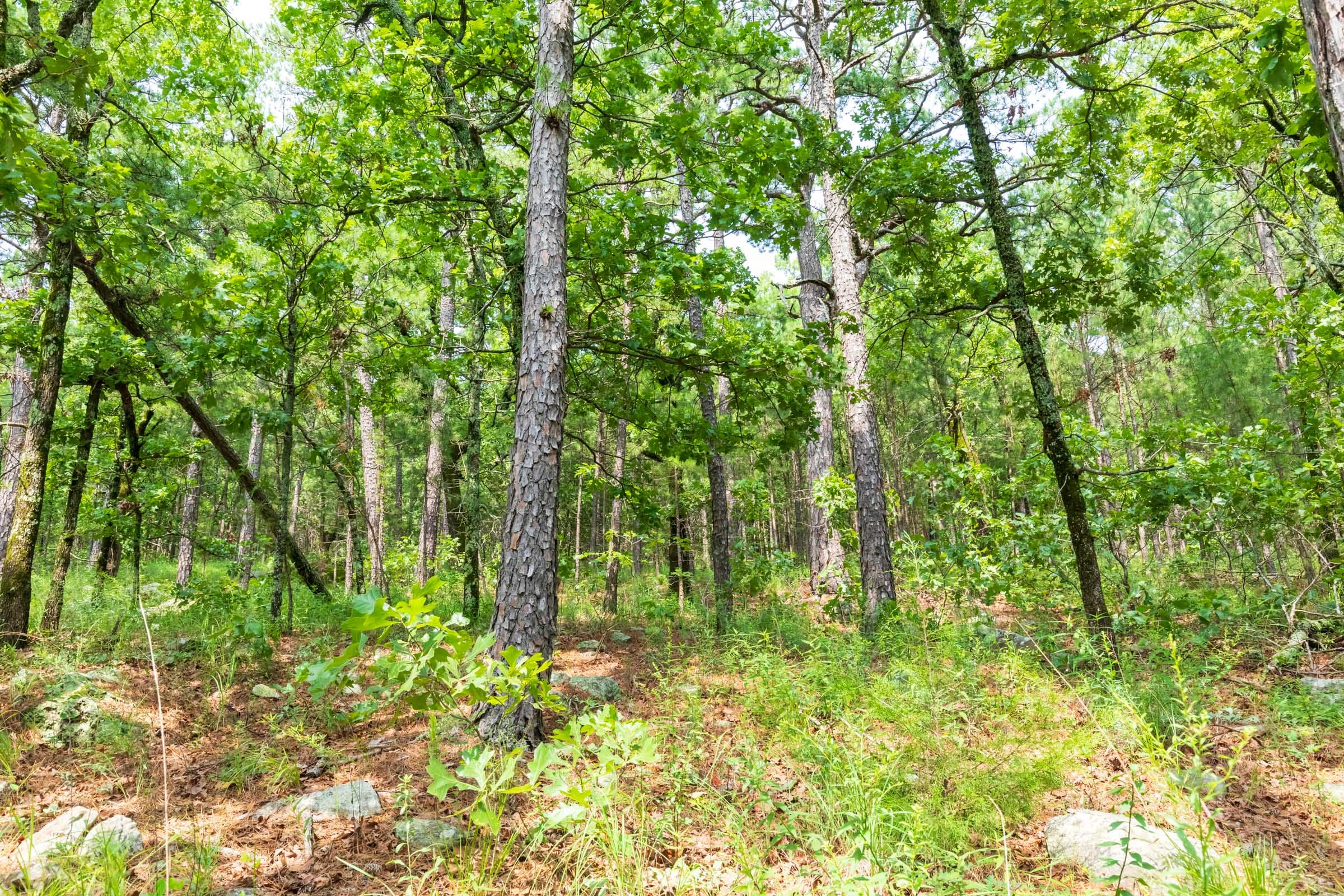 Stone Bridge Phase VI Tract 430 photo 21