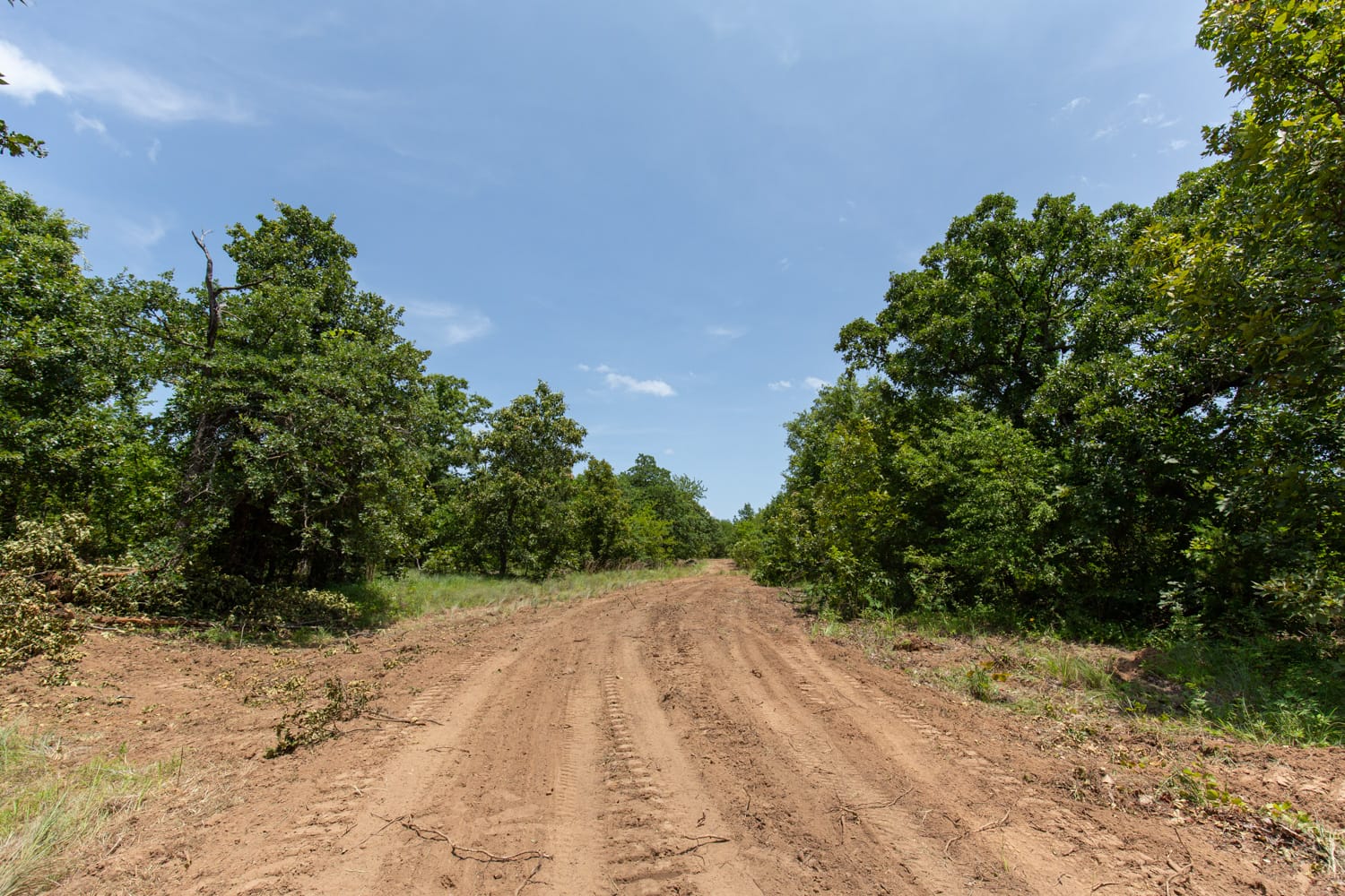 Timber Ridge Tract 49 photo 5