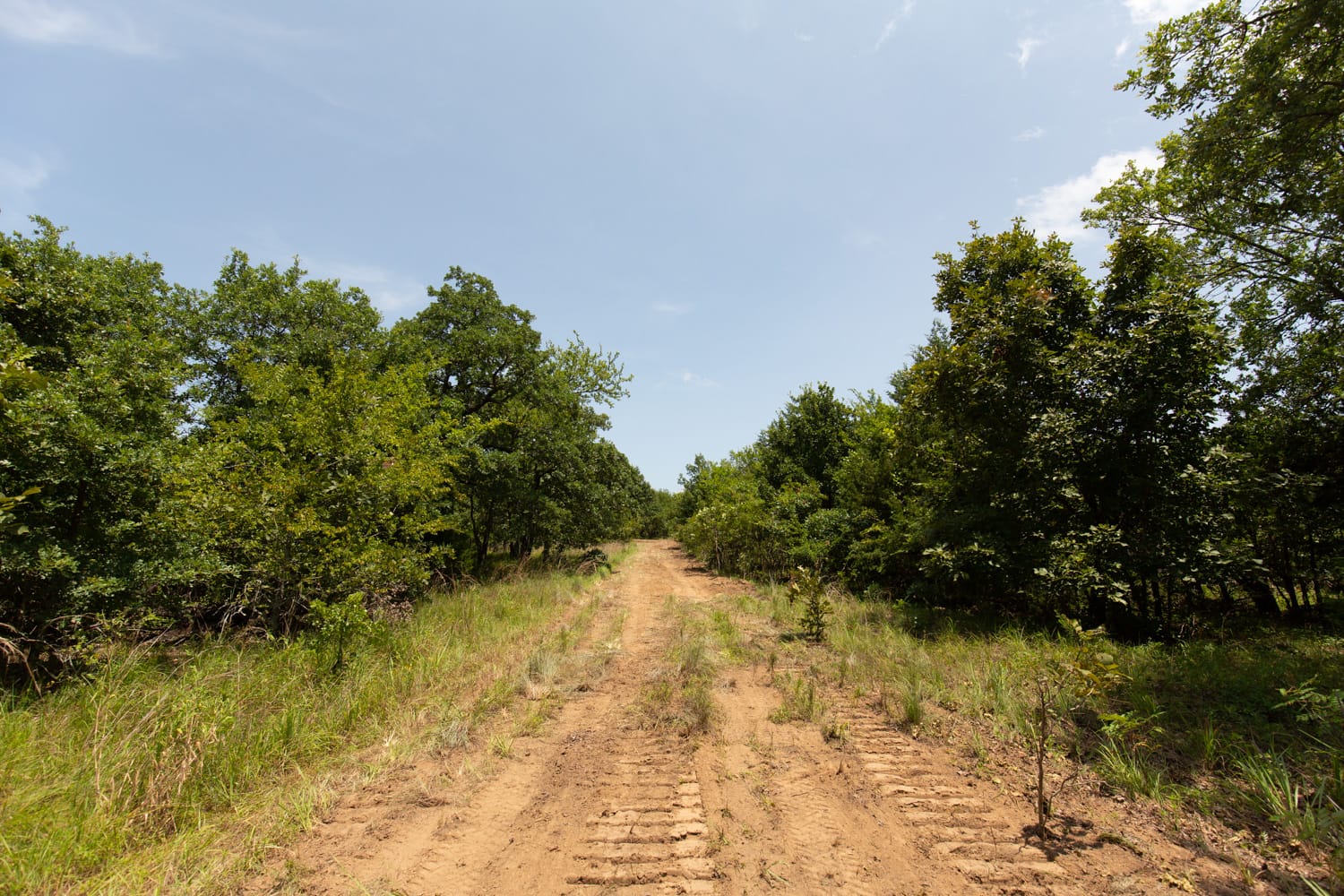 Timber Ridge Tract 49 photo 1
