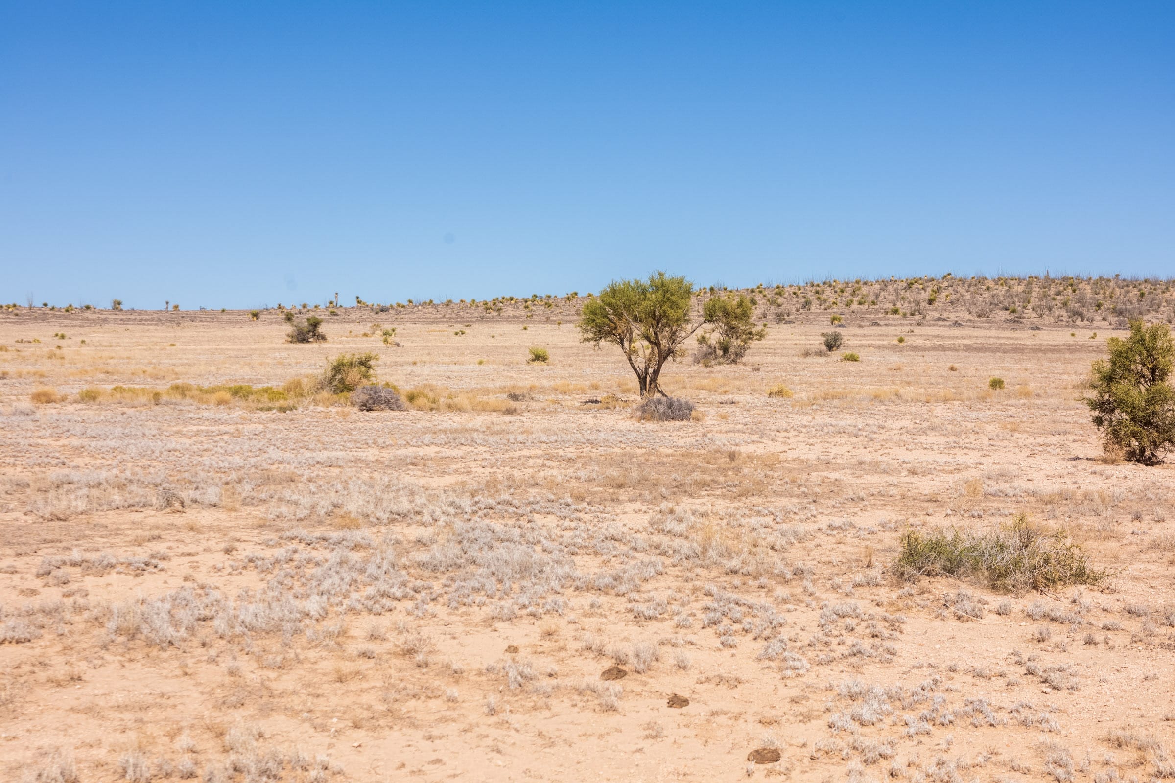 Sunrise Ranches Phase I Tract 7 photo 10