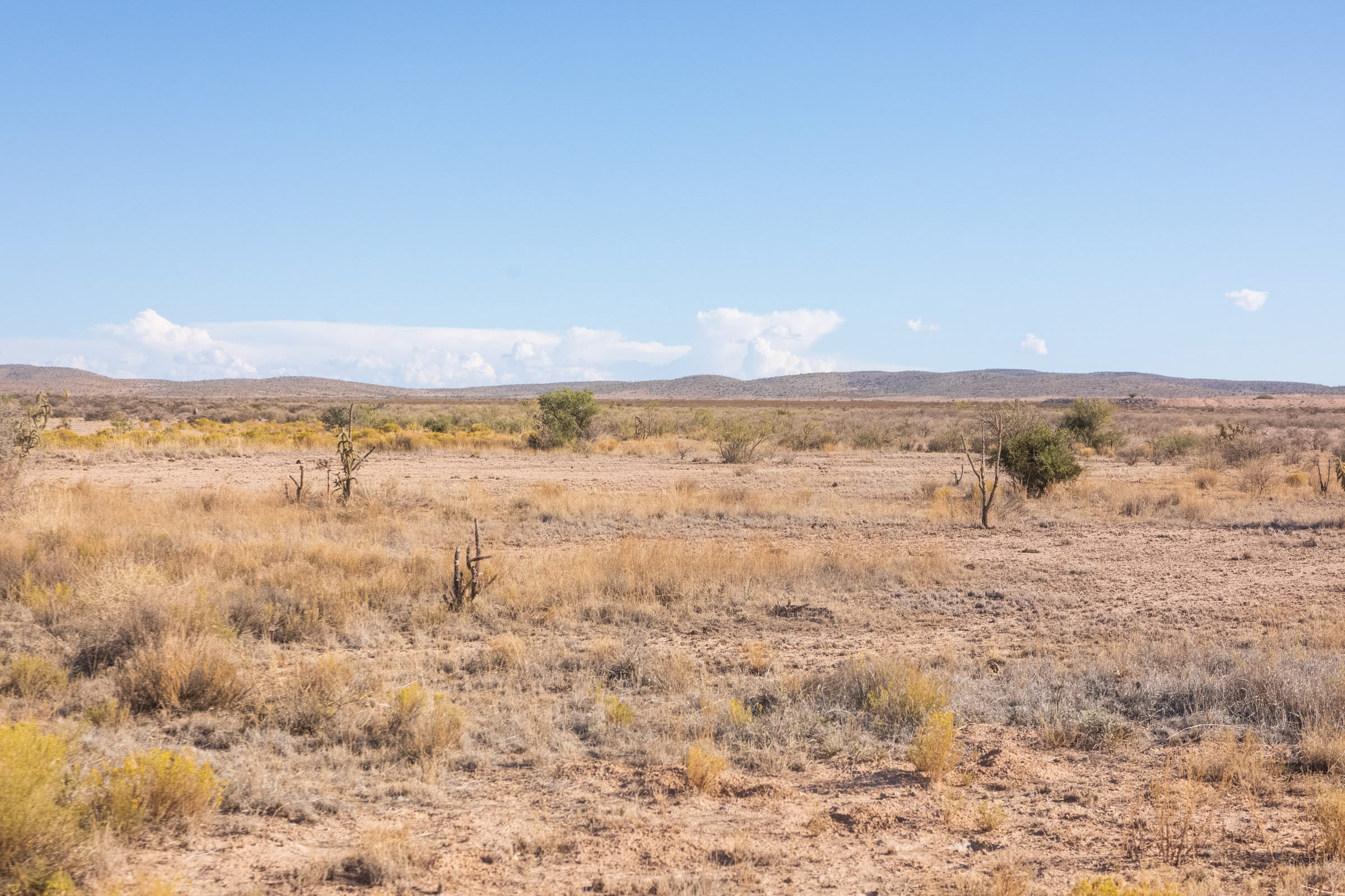 Sunrise Ranches Phase IV Tract 206 photo 10