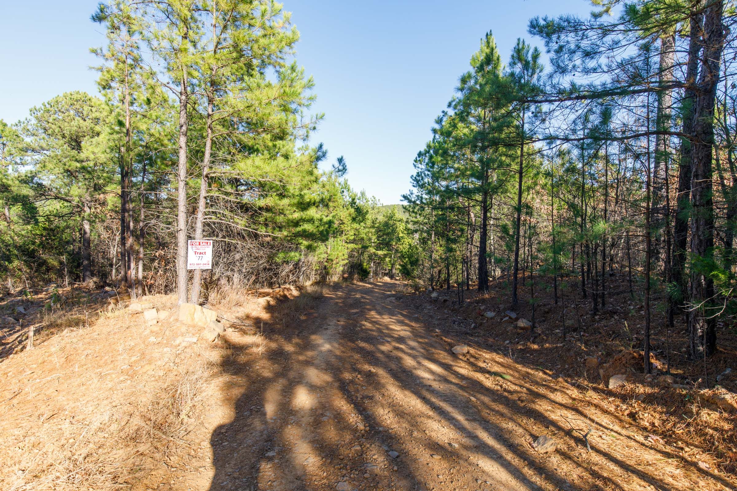 Stone Bridge Phase II Tract 135 photo 1