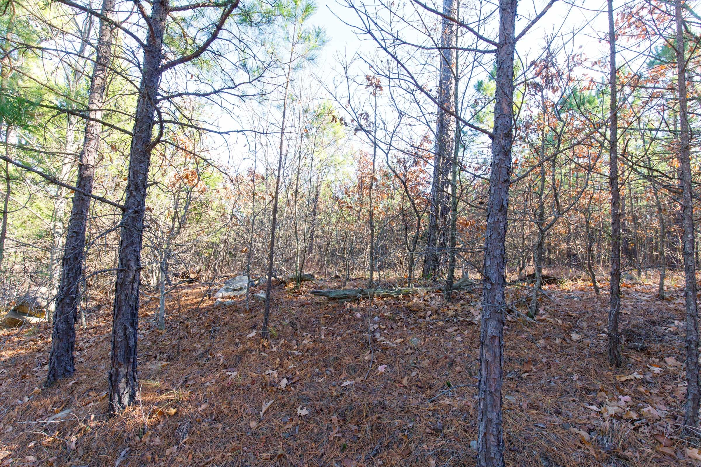 Stone Bridge Phase II Tract 135 photo 4