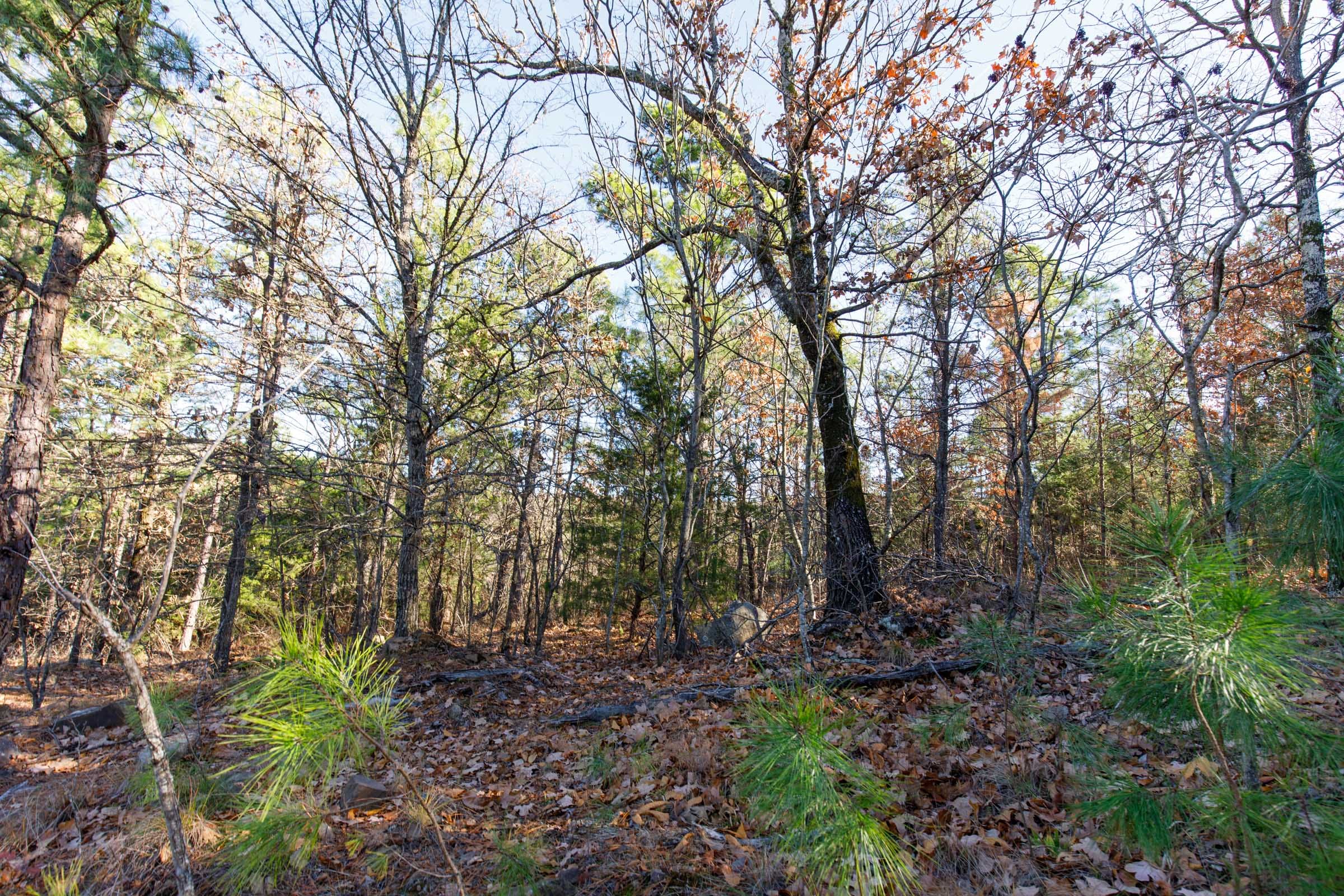 Stone Bridge Phase II Tract 135 photo 6