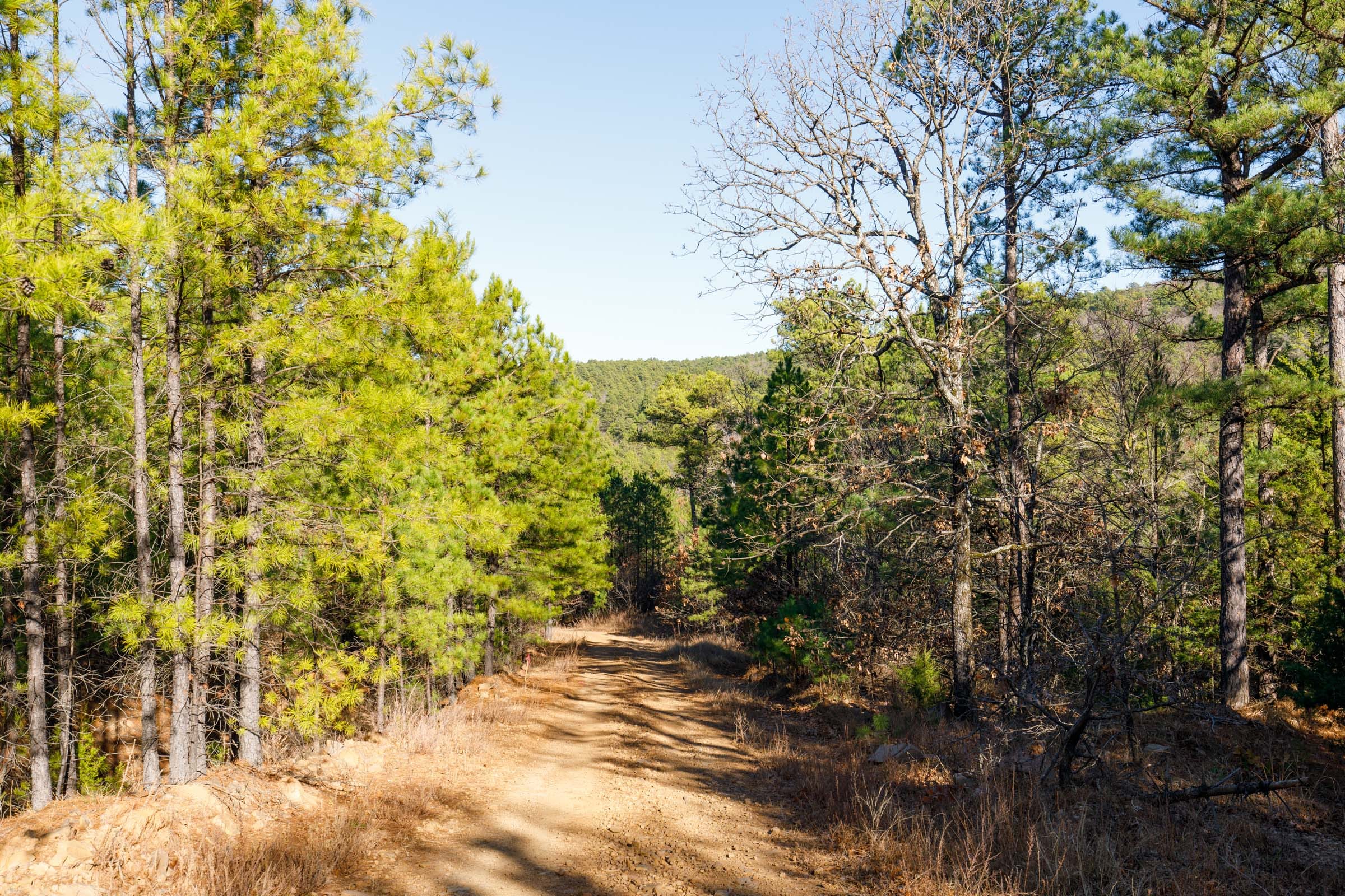 Stone Bridge Phase II Tract 135 photo 5