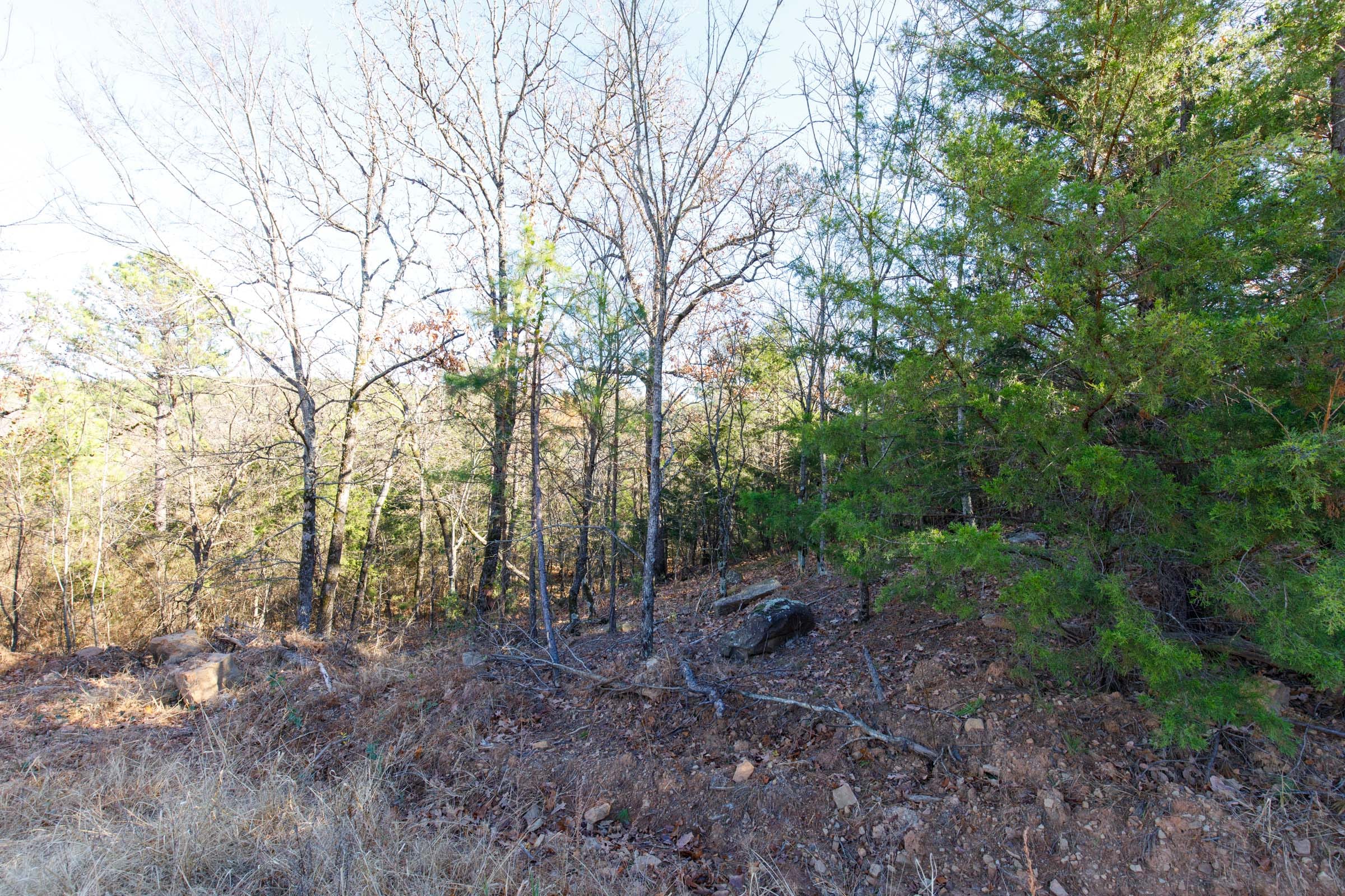 Stone Bridge Phase II Tract 135 photo 8