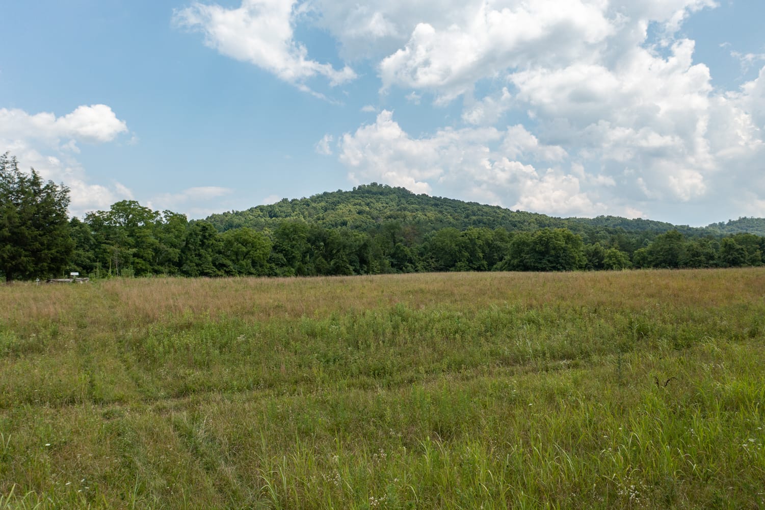 Rolling Hills Tract 22 photo 4