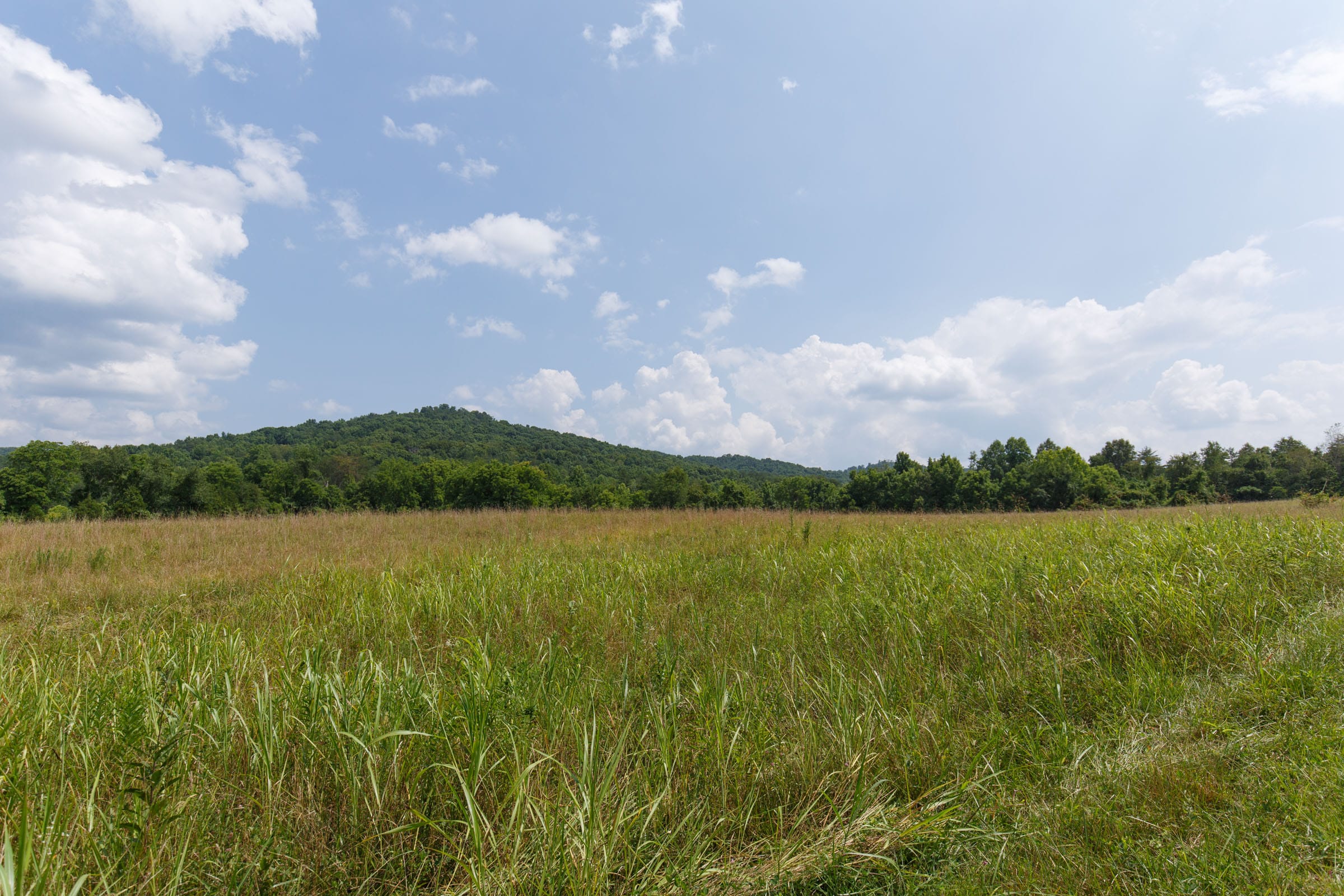 Rolling Hills Tract 22 photo 7