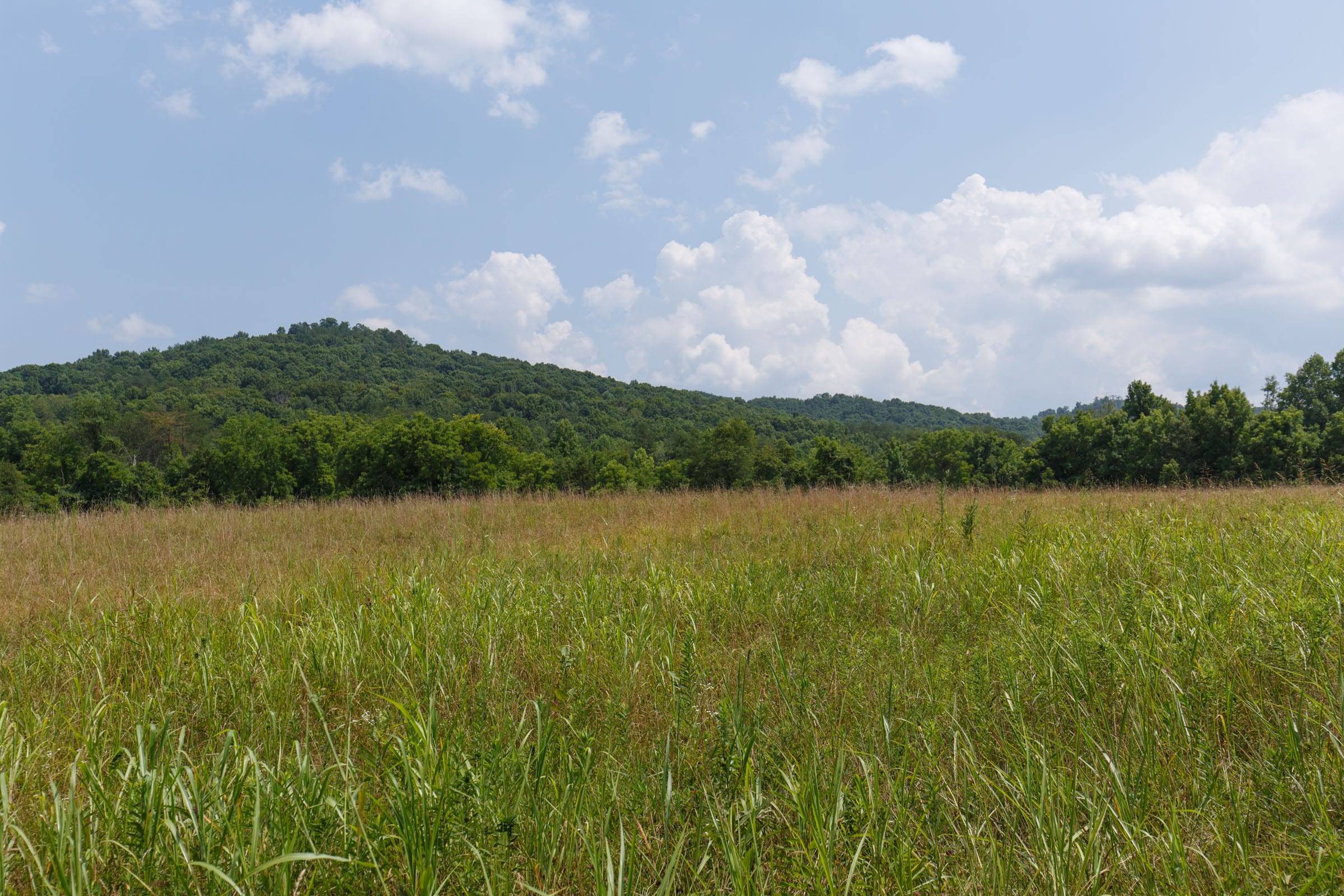 Rolling Hills Tract 22 photo 8