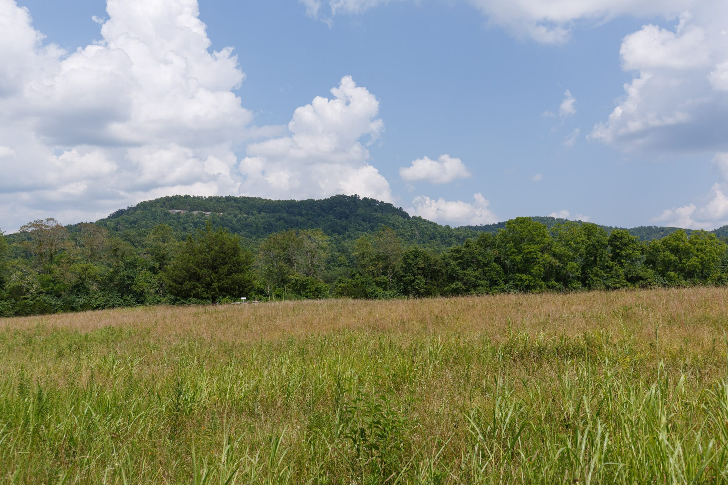 Rolling Hills Tract 22 photo 9