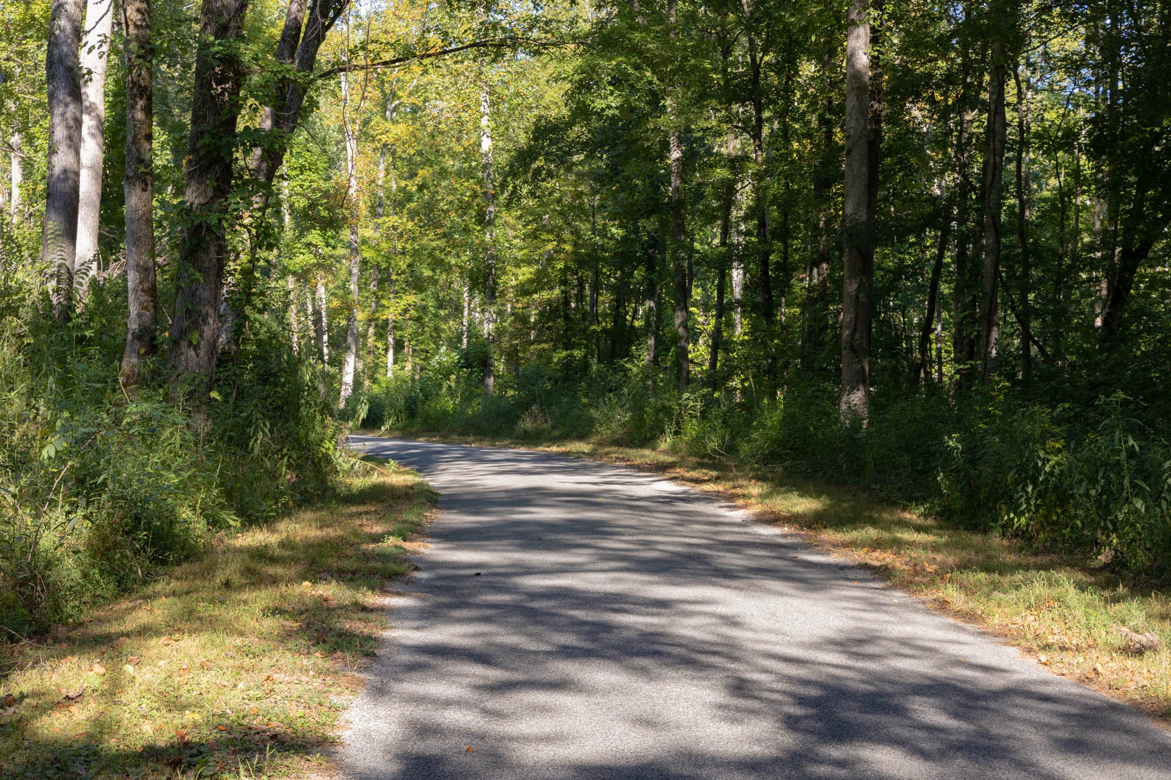 Big White Oak Tract 9 photo 5