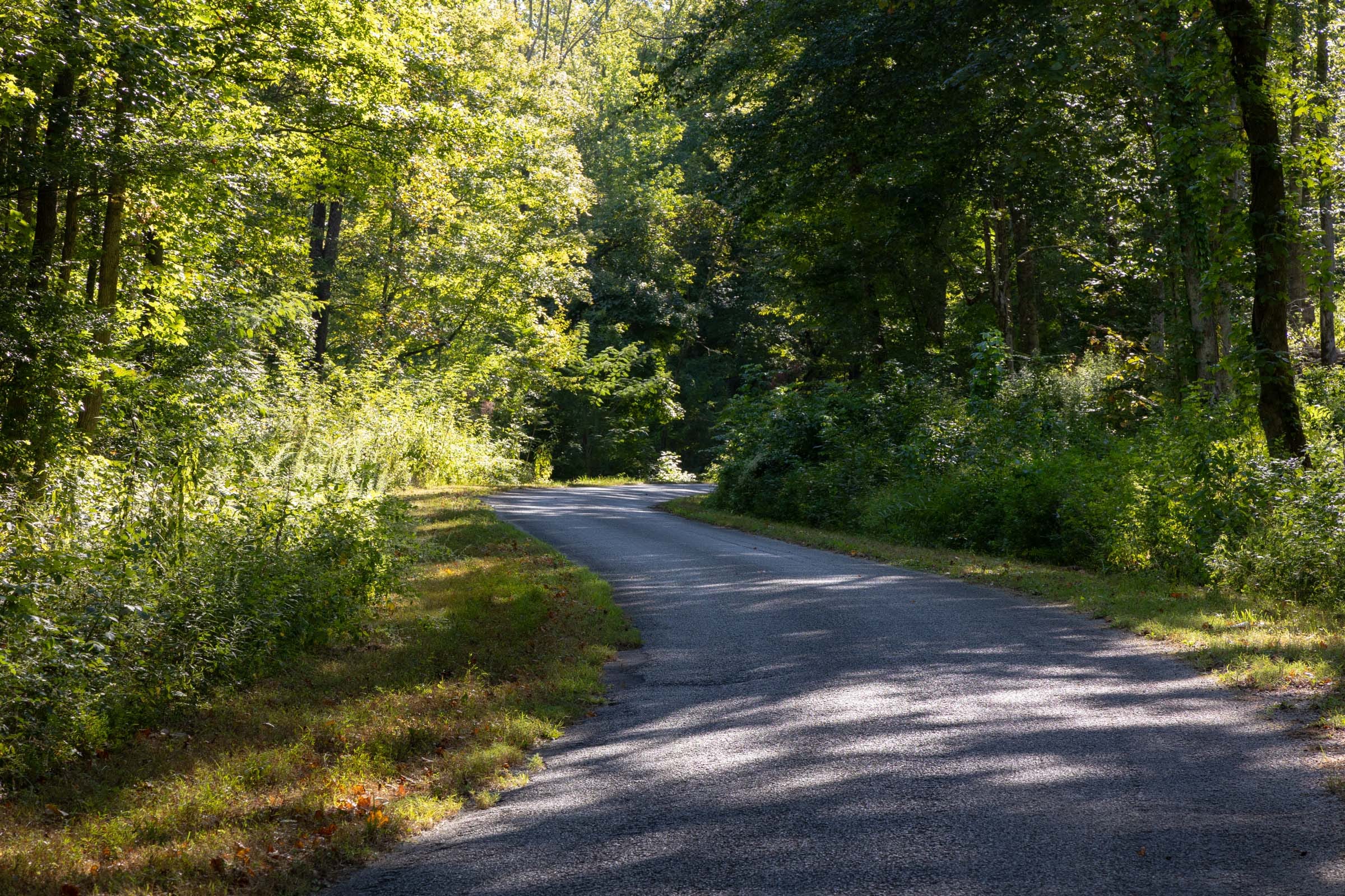 Big White Oak Tract 9 photo 1
