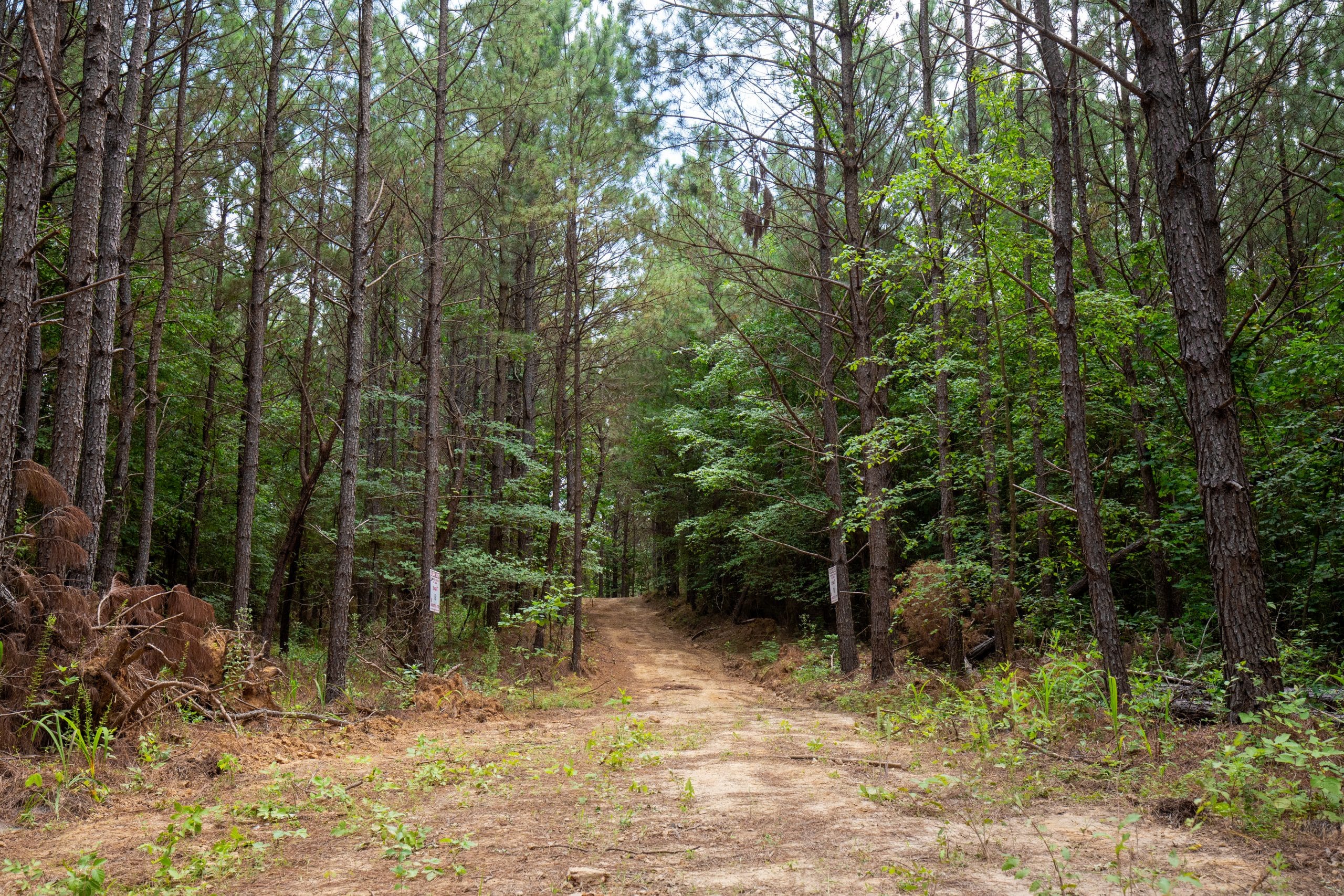 Whiskey Ridge Tract 78 photo 3