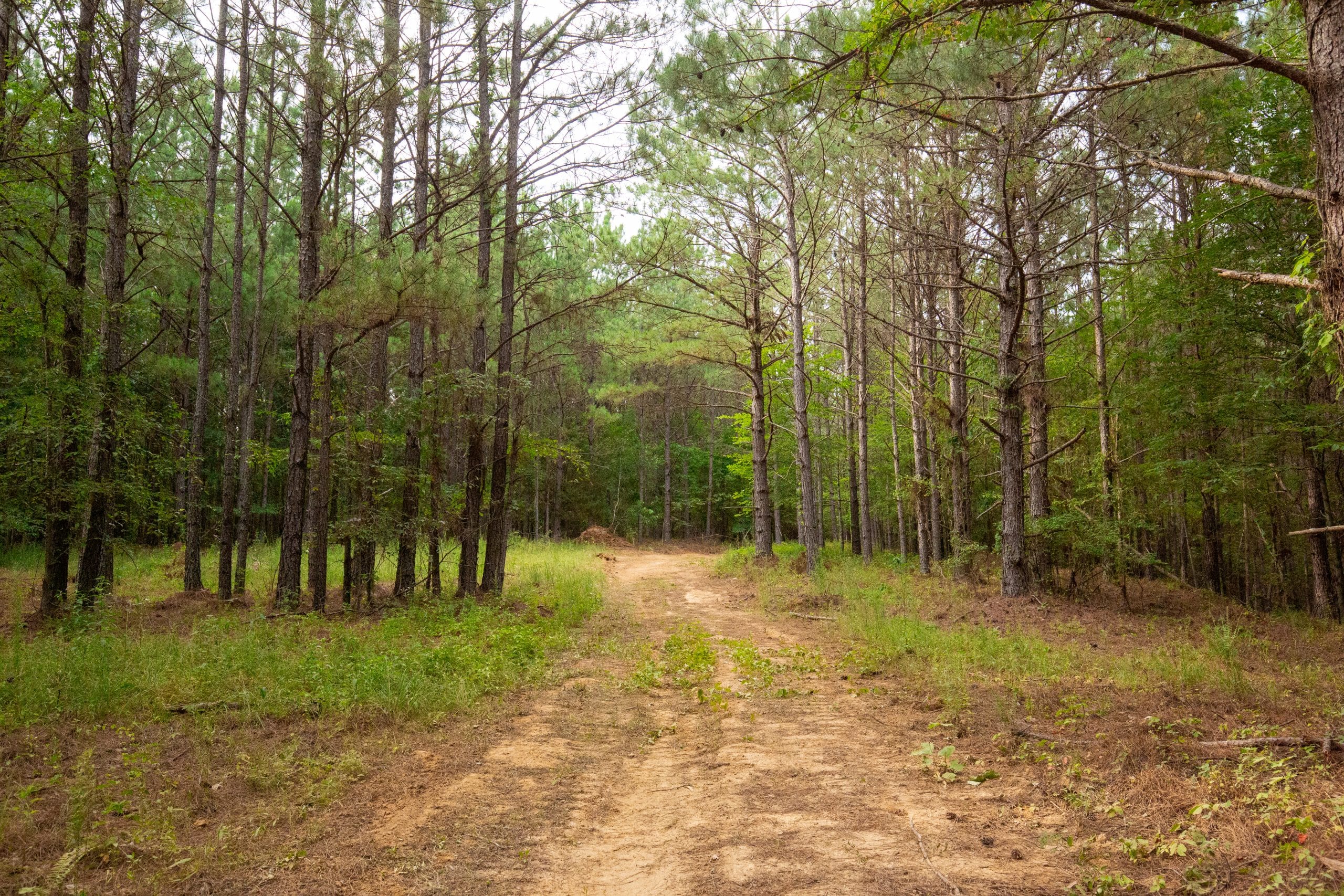 Whiskey Ridge Tract 78 photo 7