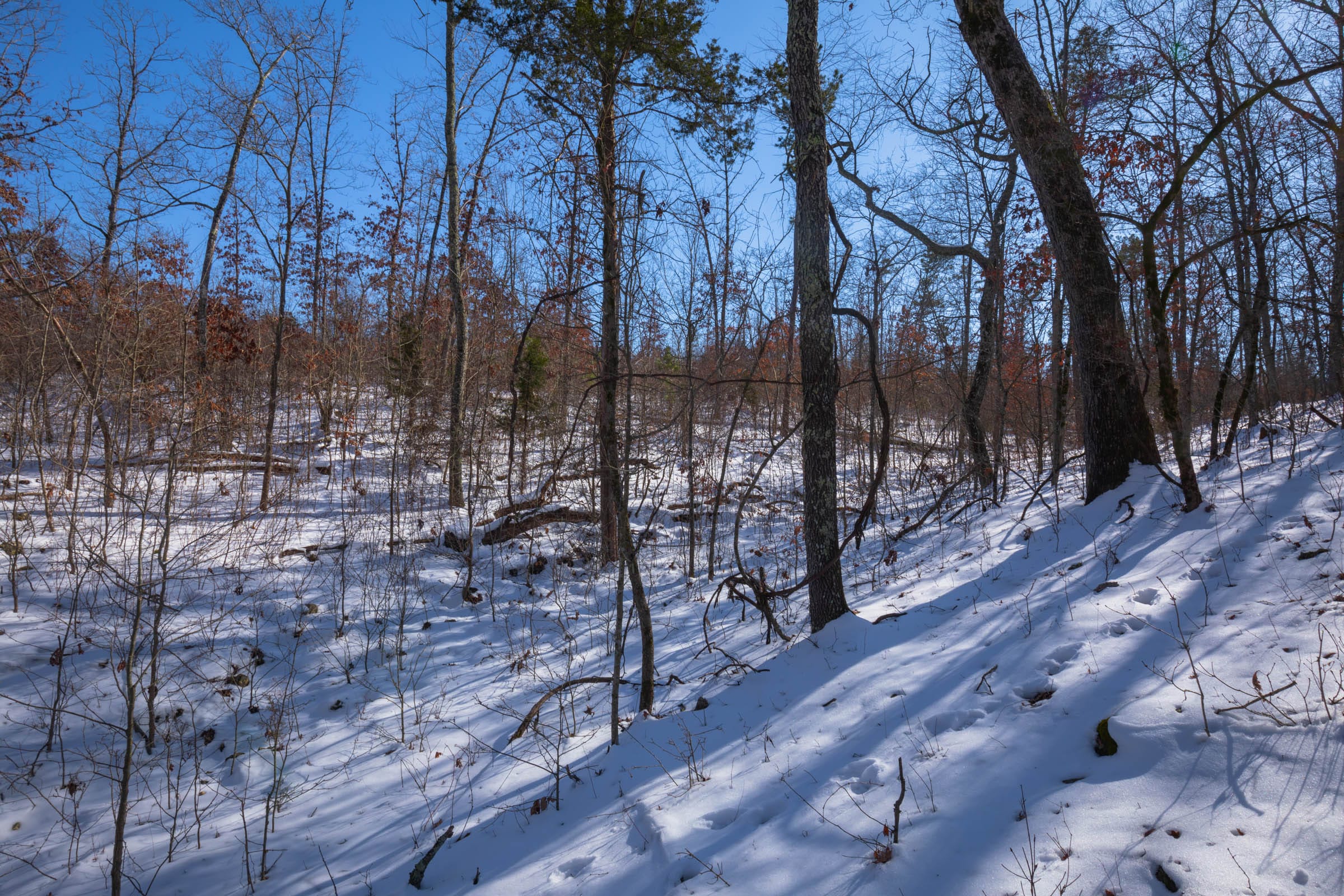 Sleepy Hollow Phase I Tract 53 photo 10