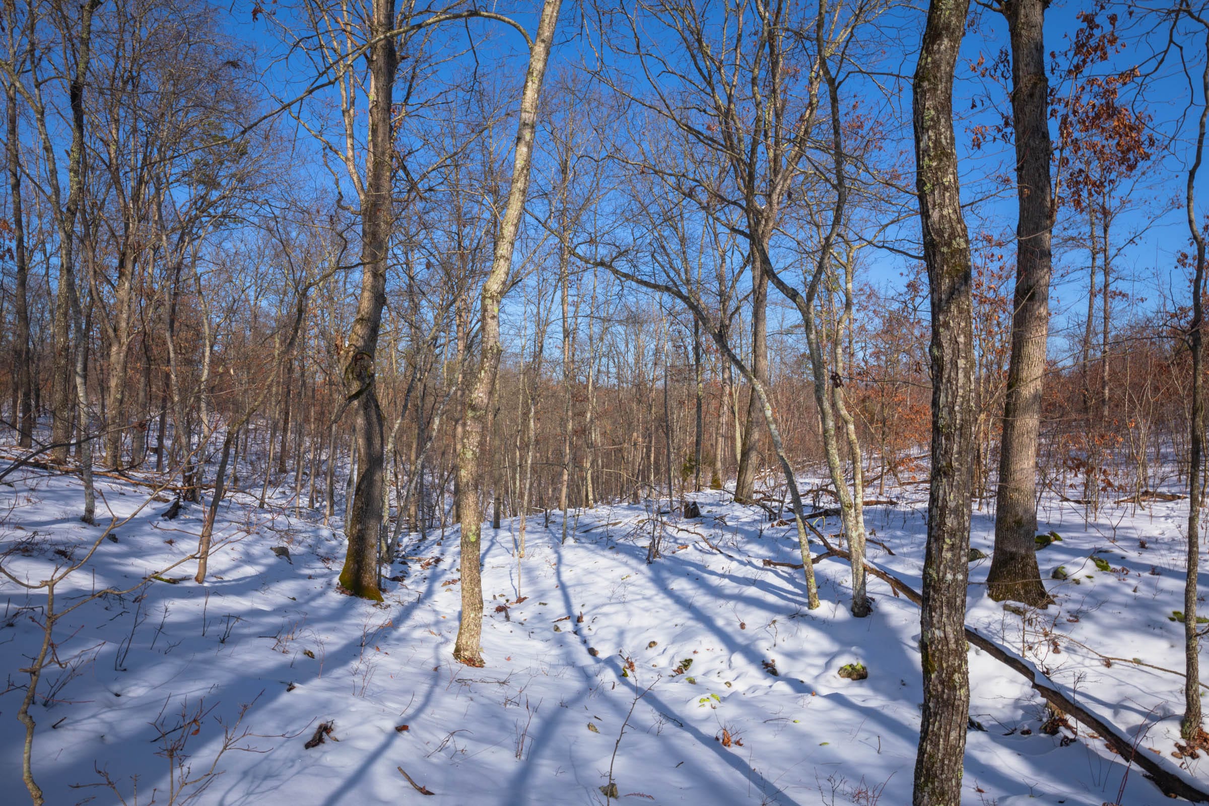 Sleepy Hollow Phase I Tract 53 photo 9