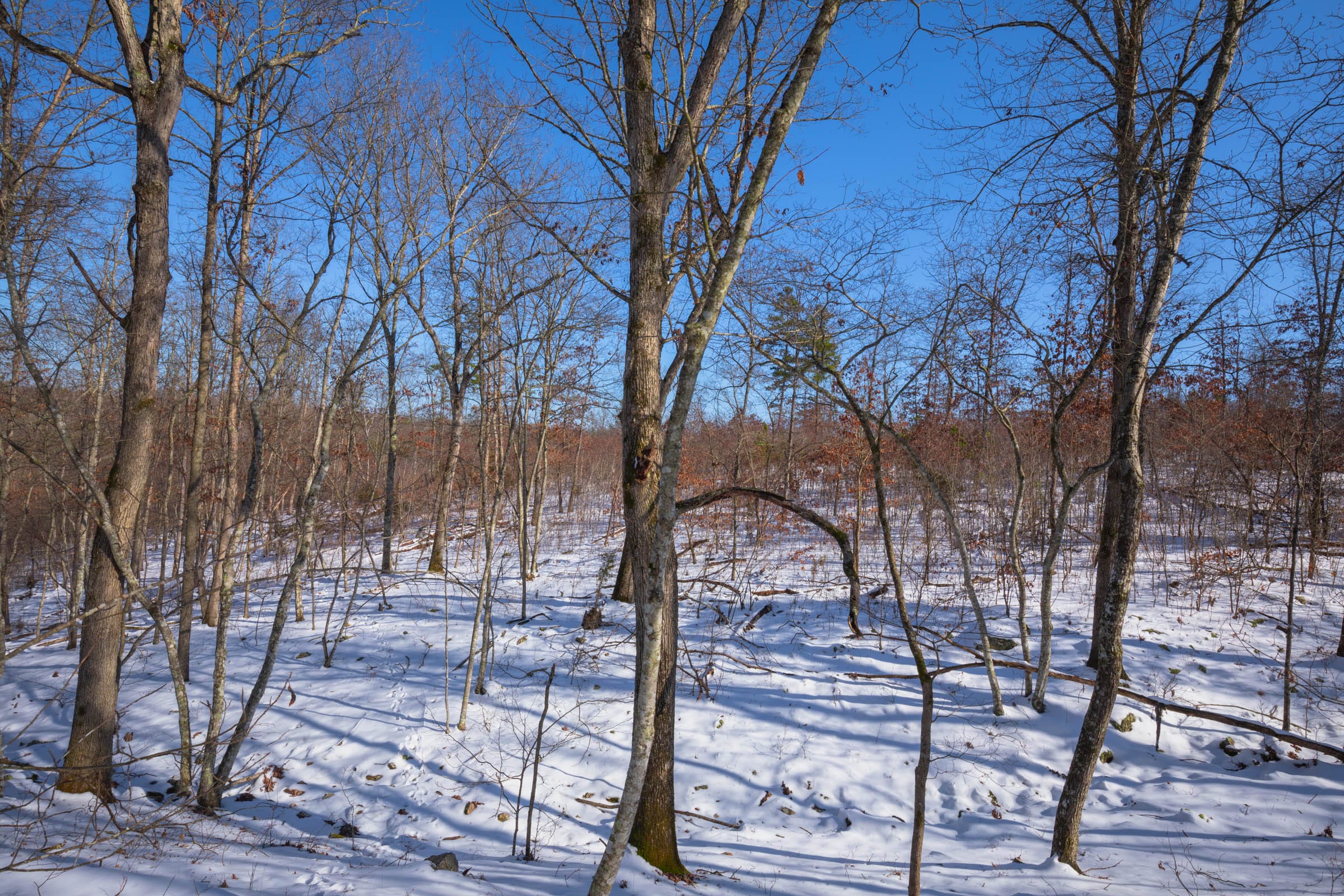 Sleepy Hollow Phase I Tract 53 photo 8