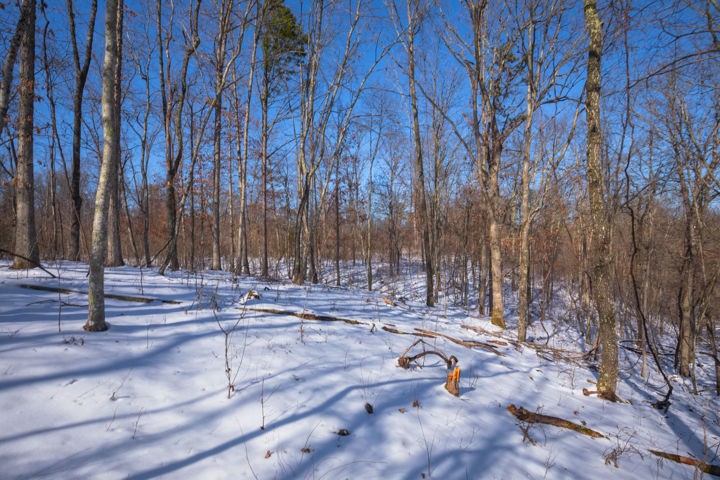 Sleepy Hollow Phase I Tract 53 photo 7