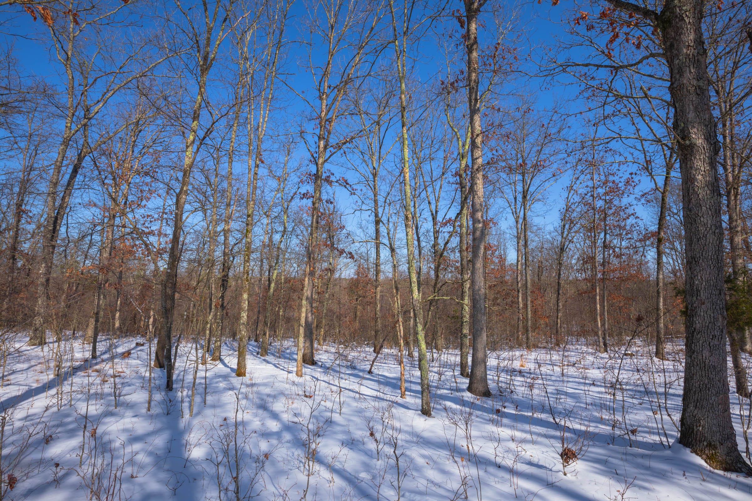 Sleepy Hollow Phase I Tract 53 photo 6