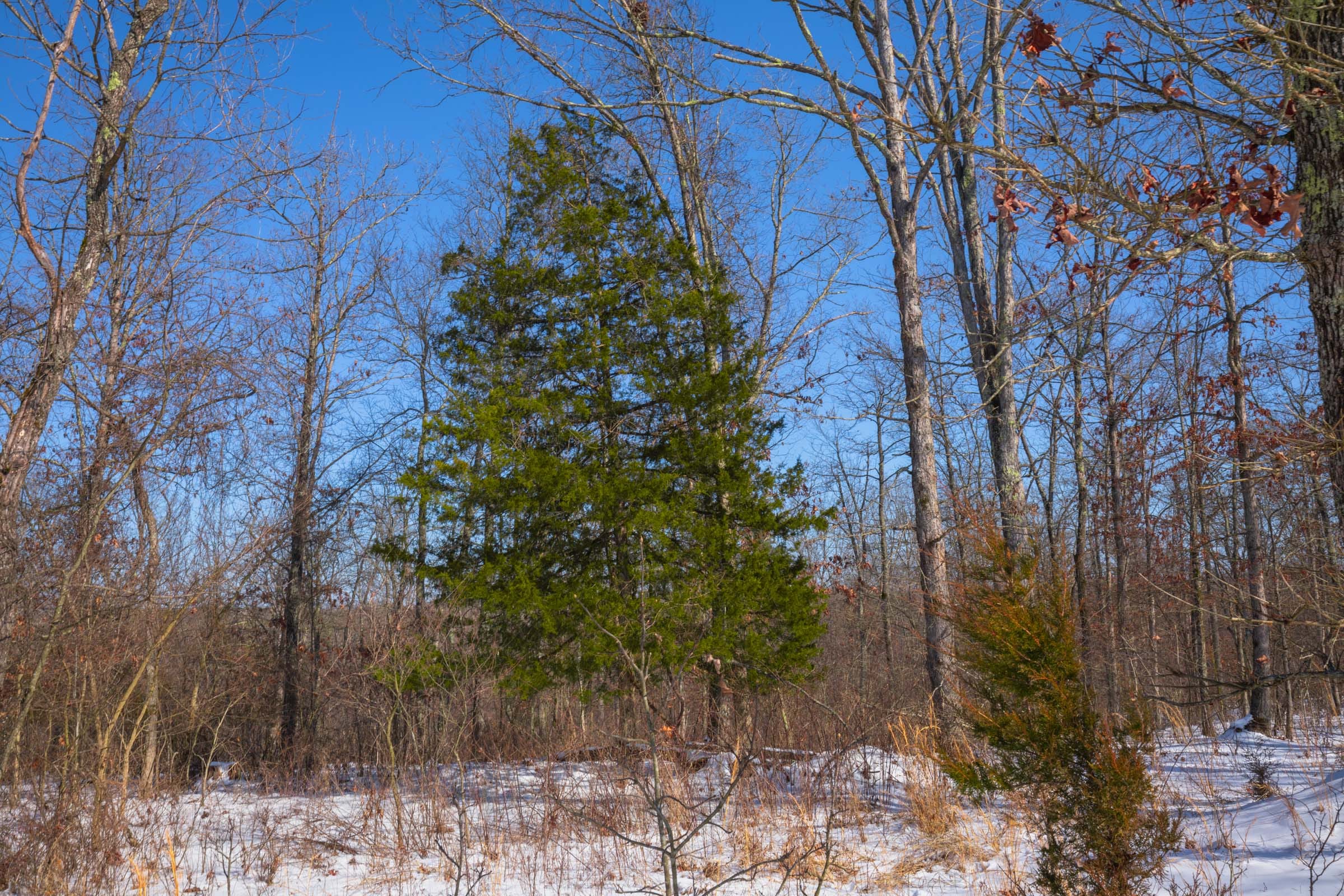 Sleepy Hollow Phase I Tract 53 photo 3