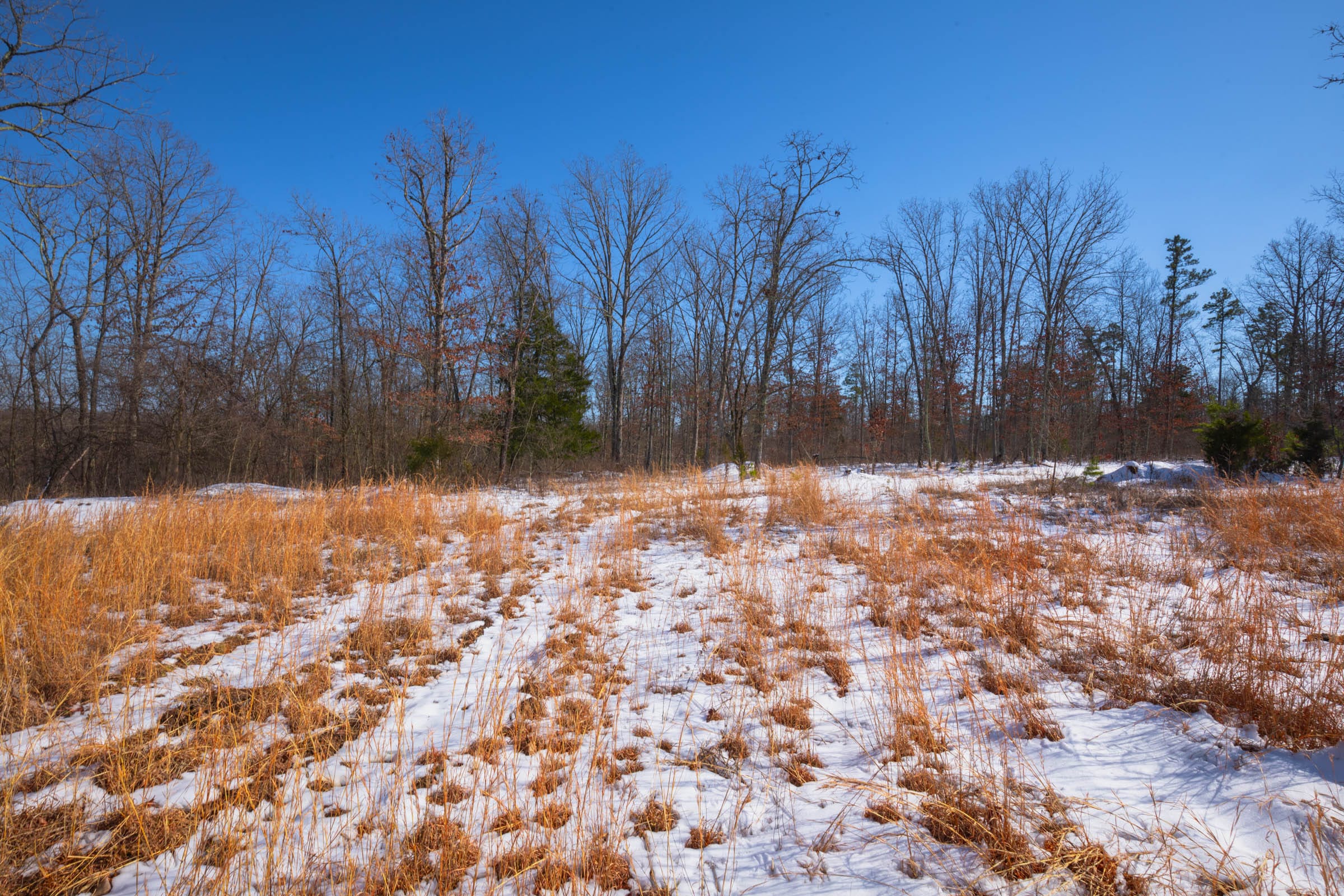 Sleepy Hollow Phase I Tract 53 photo 2