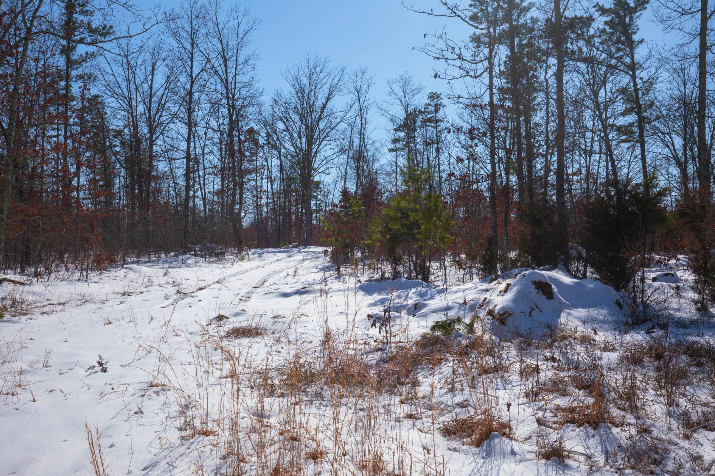 Sleepy Hollow Phase I Tract 53 photo 1