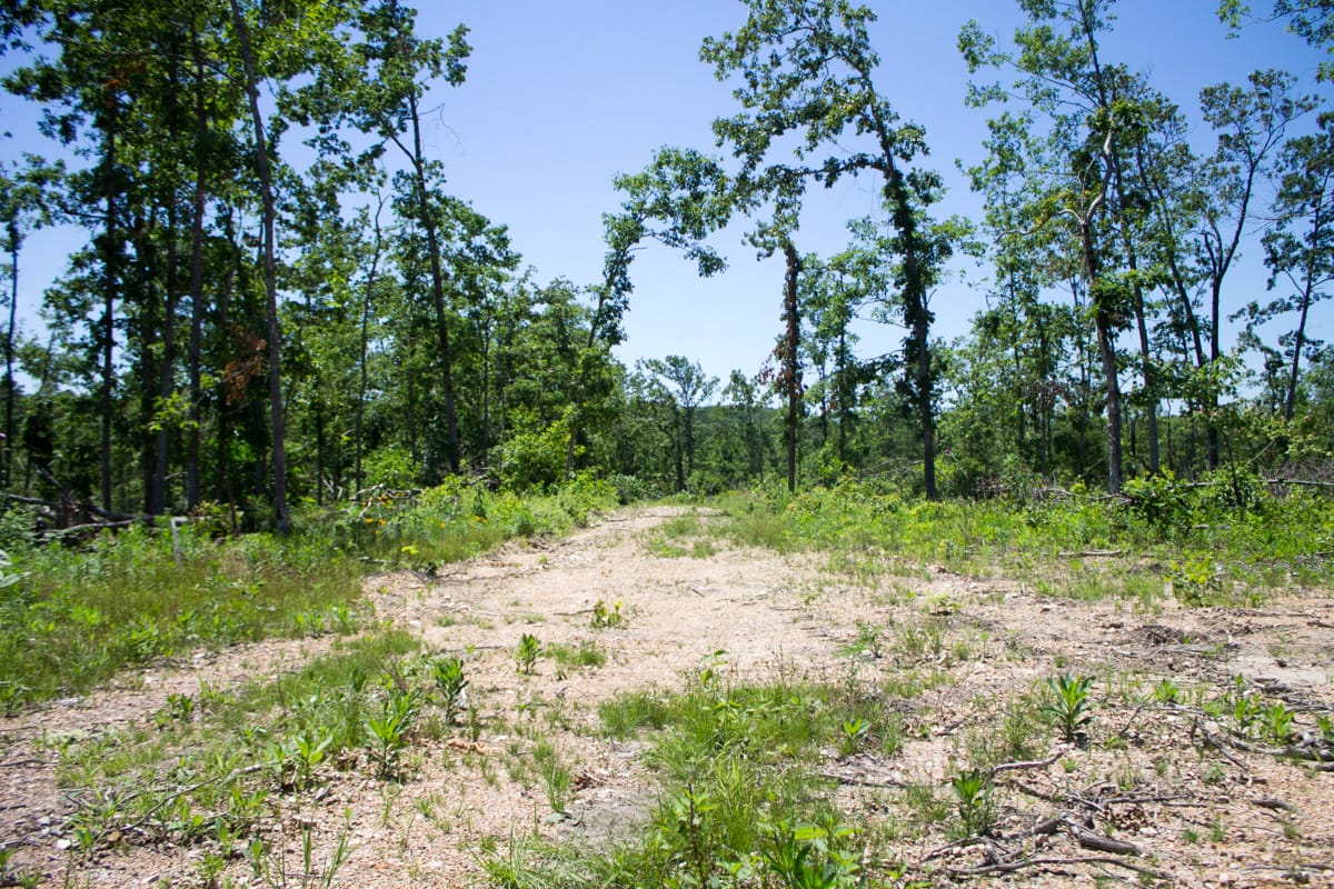 Timber Crossing Tract 16 photo 1