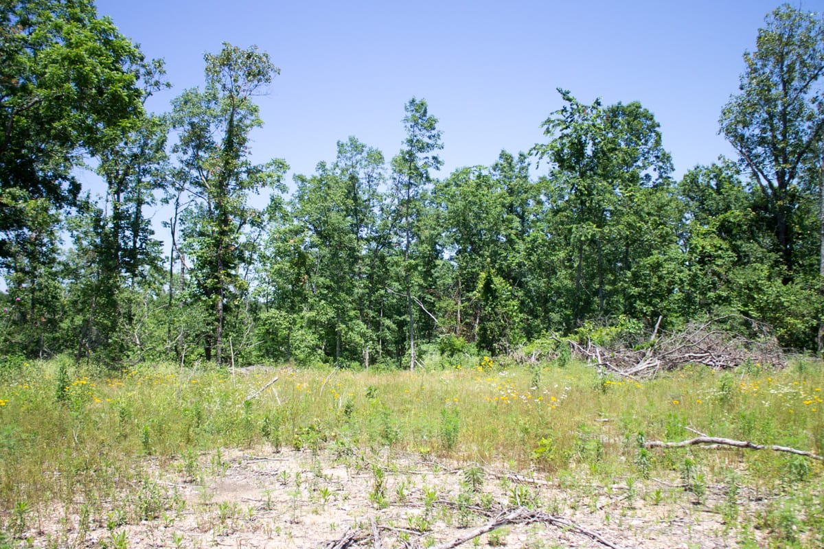 Timber Crossing Tract 16 photo 4