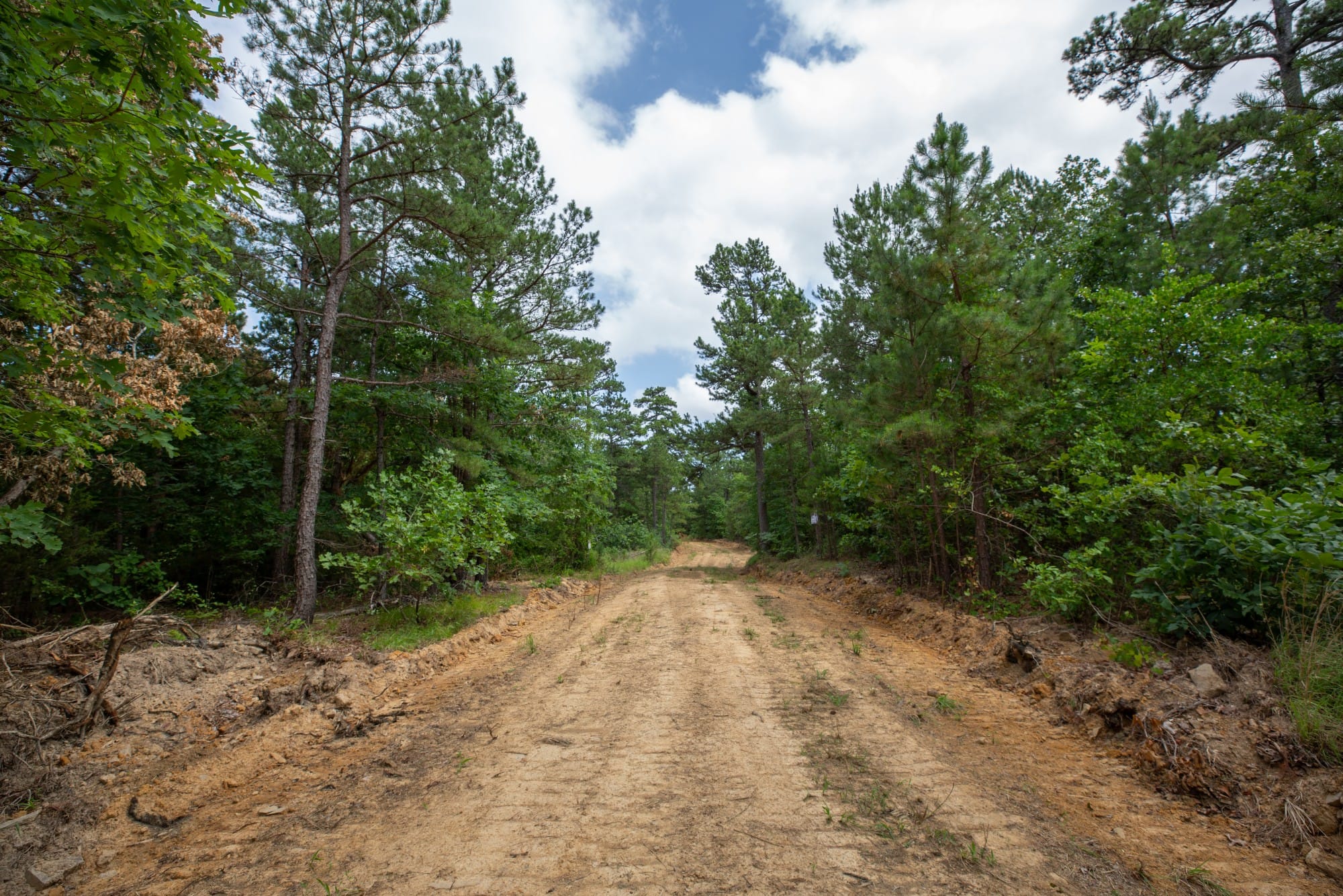 Eagle’s Nest Tract 31 photo 2