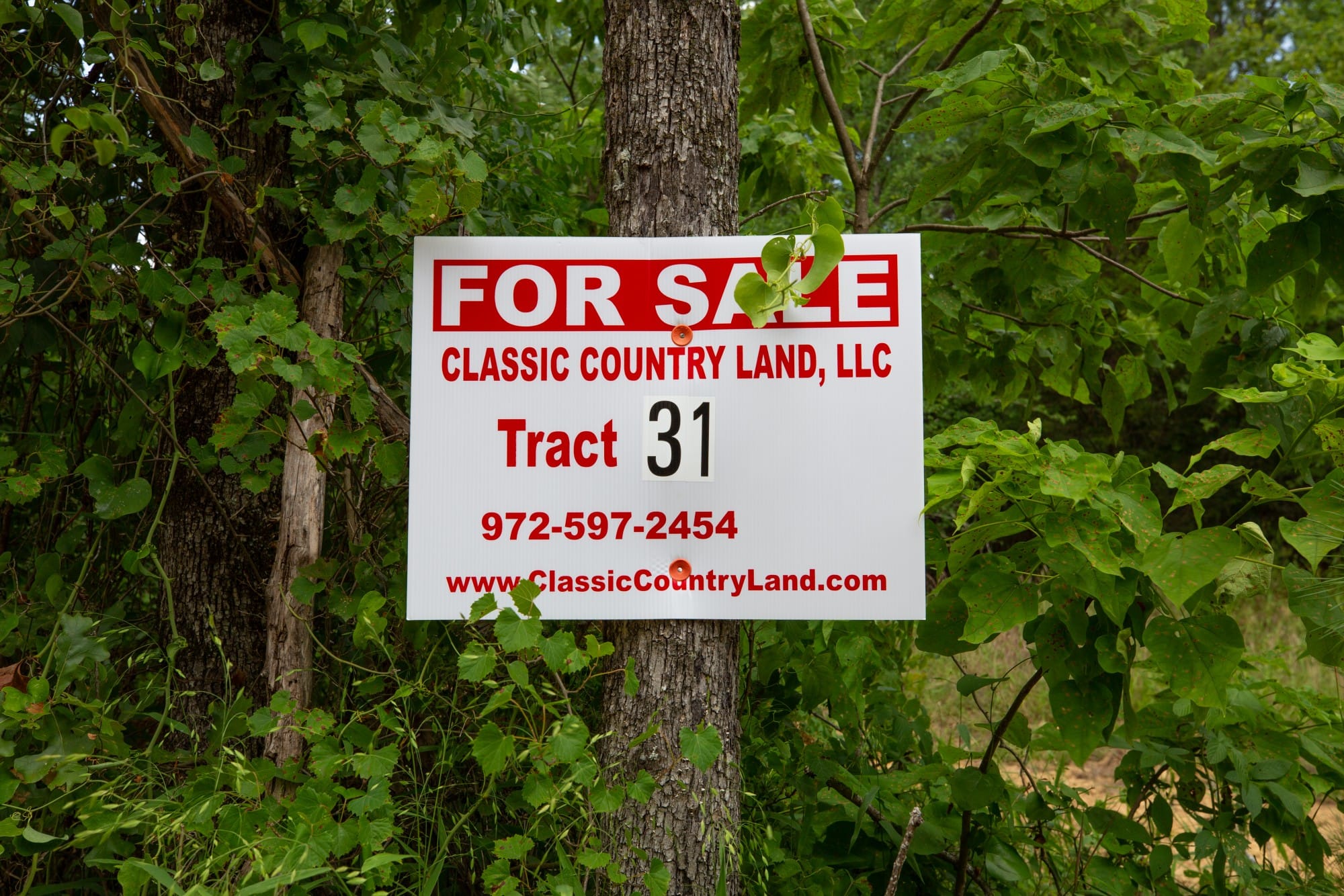 Eagle’s Nest Tract 31 photo 1