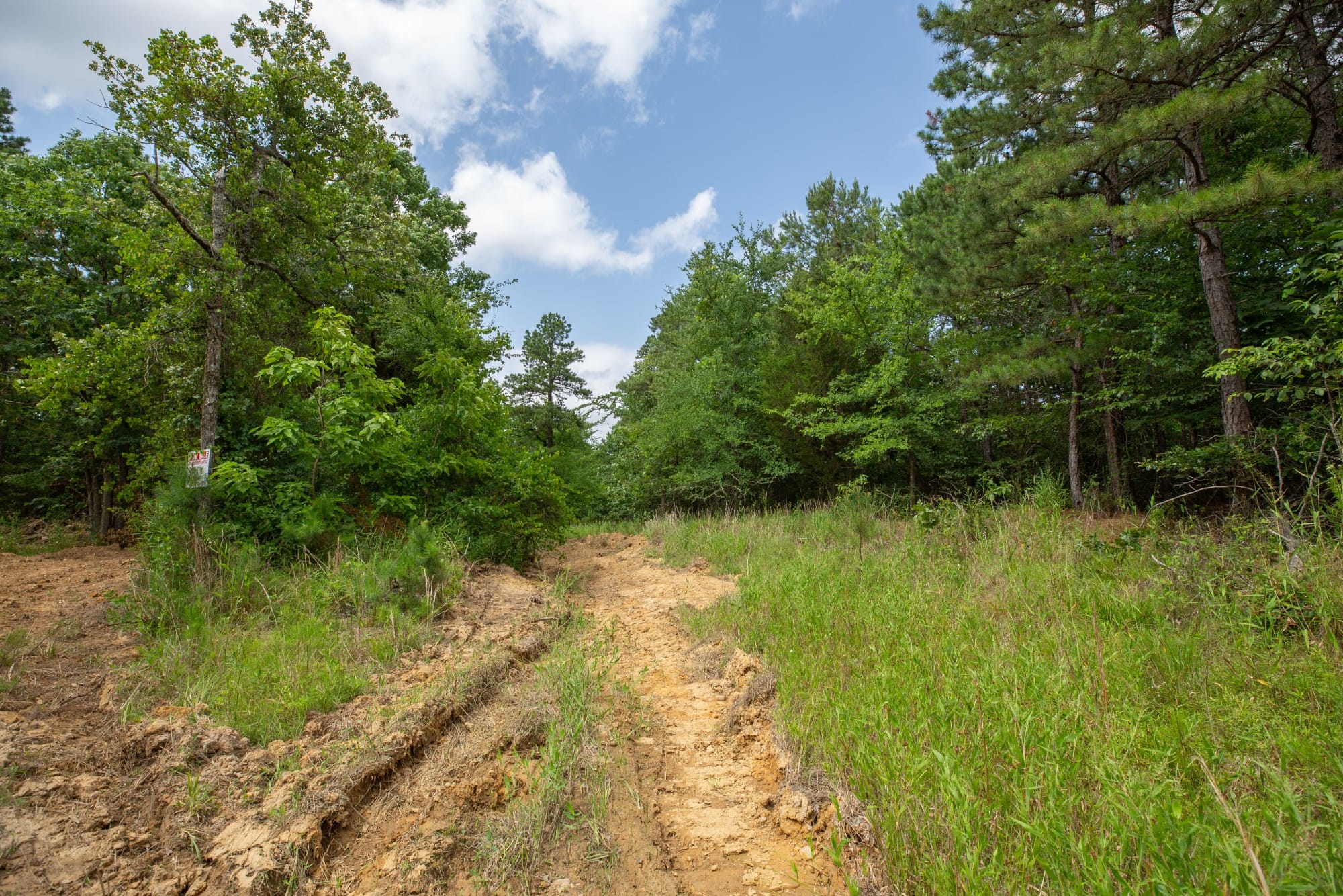 Eagle’s Nest Tract 31 photo 5
