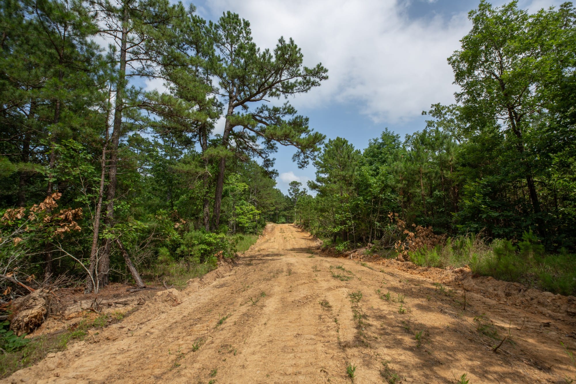 Eagle’s Nest Tract 31 photo 8