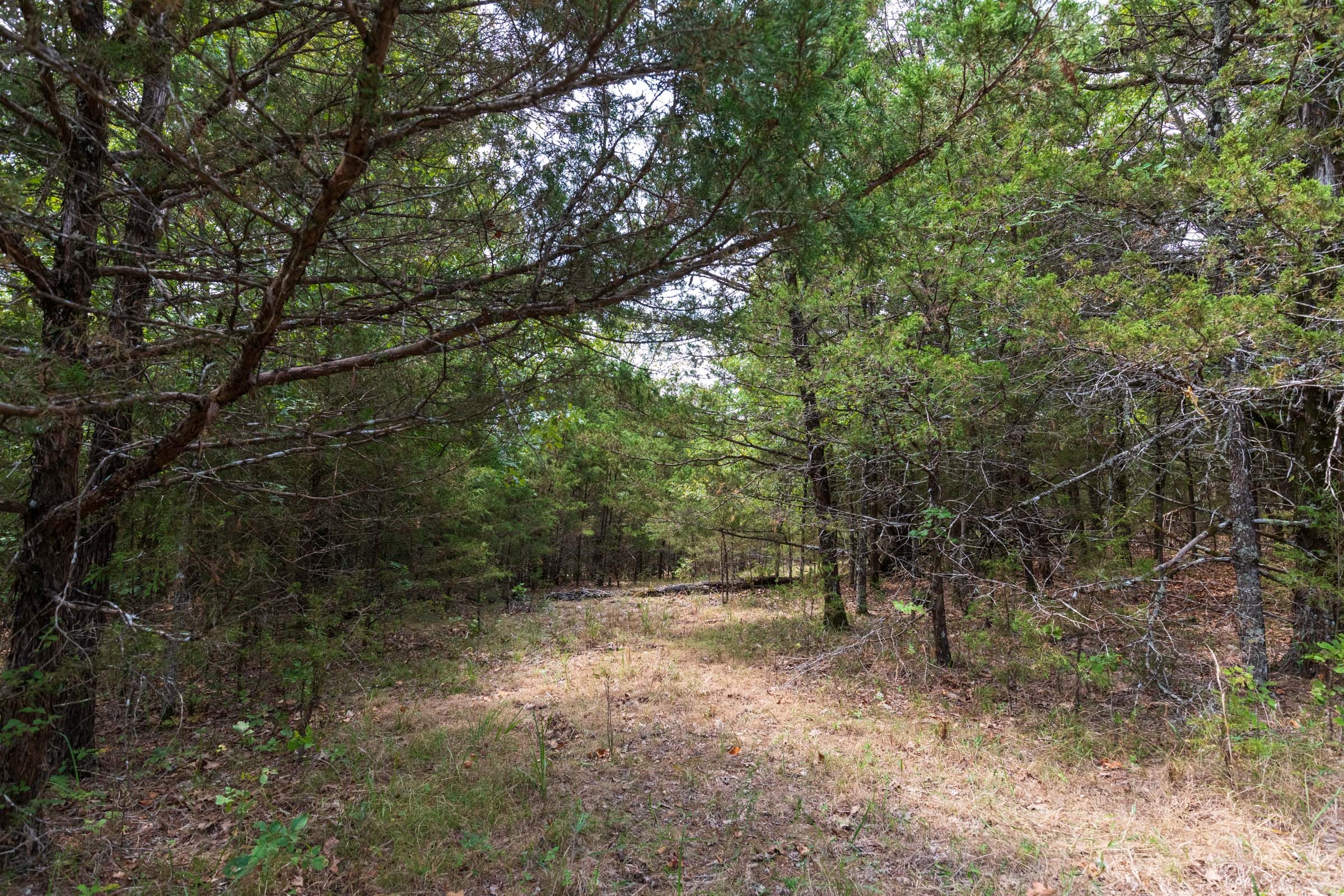 Heritage Bend Tract 26 photo 10