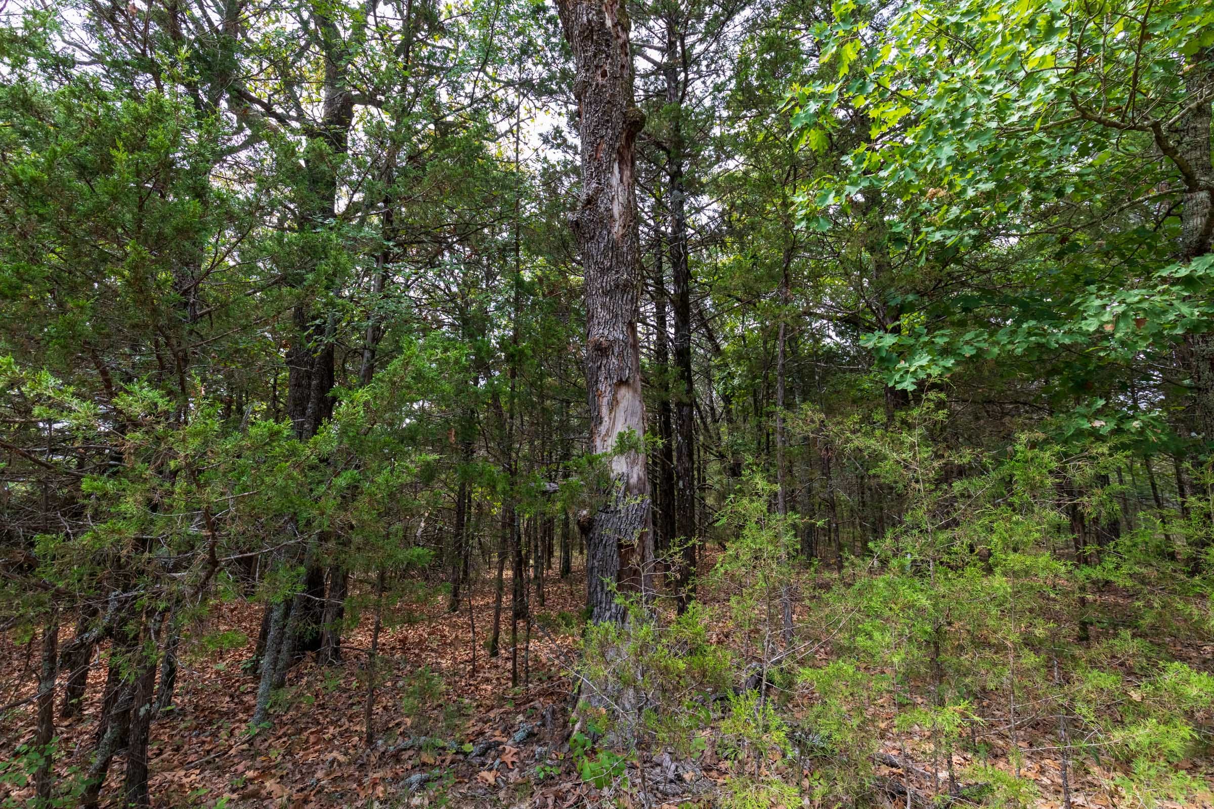 Heritage Bend Tract 26 photo 2