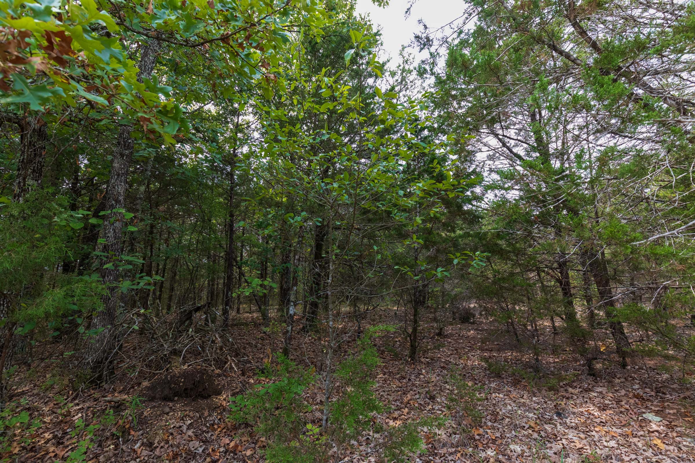 Heritage Bend Tract 26 photo 4