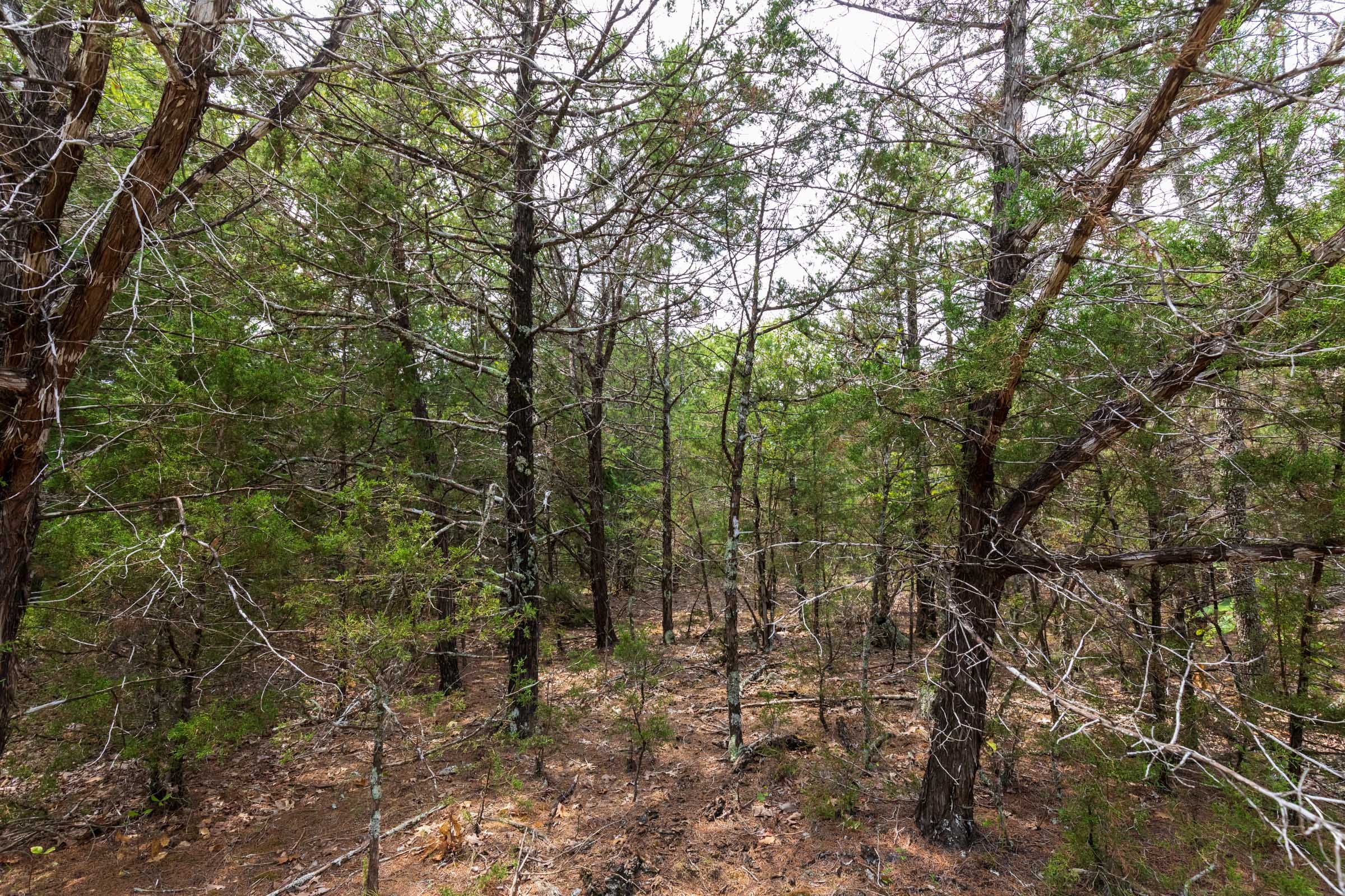 Heritage Bend Tract 26 photo 6